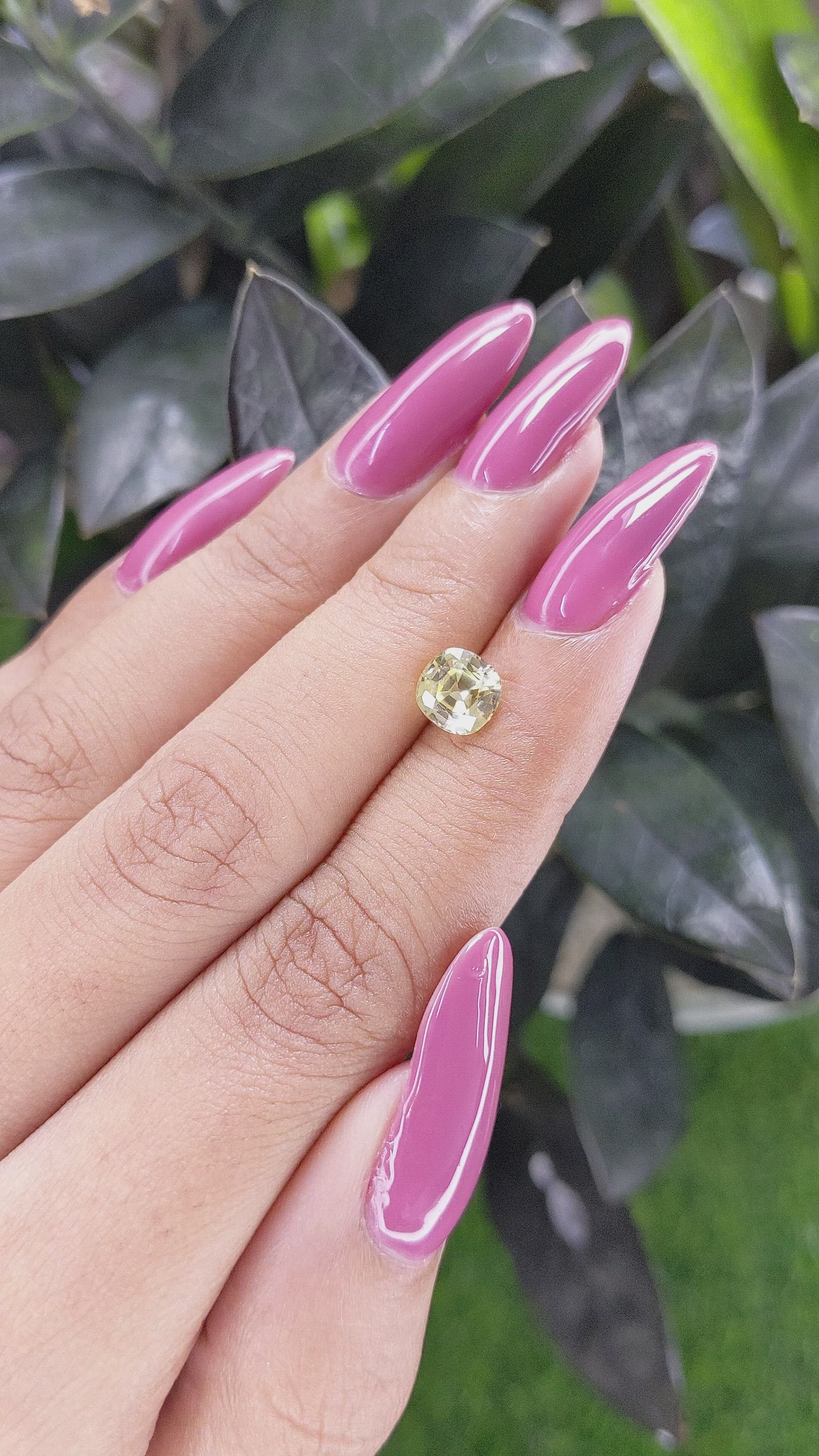 1.48 Ct. Yellow Sapphire from Ceylon (Sri Lanka) Size Video