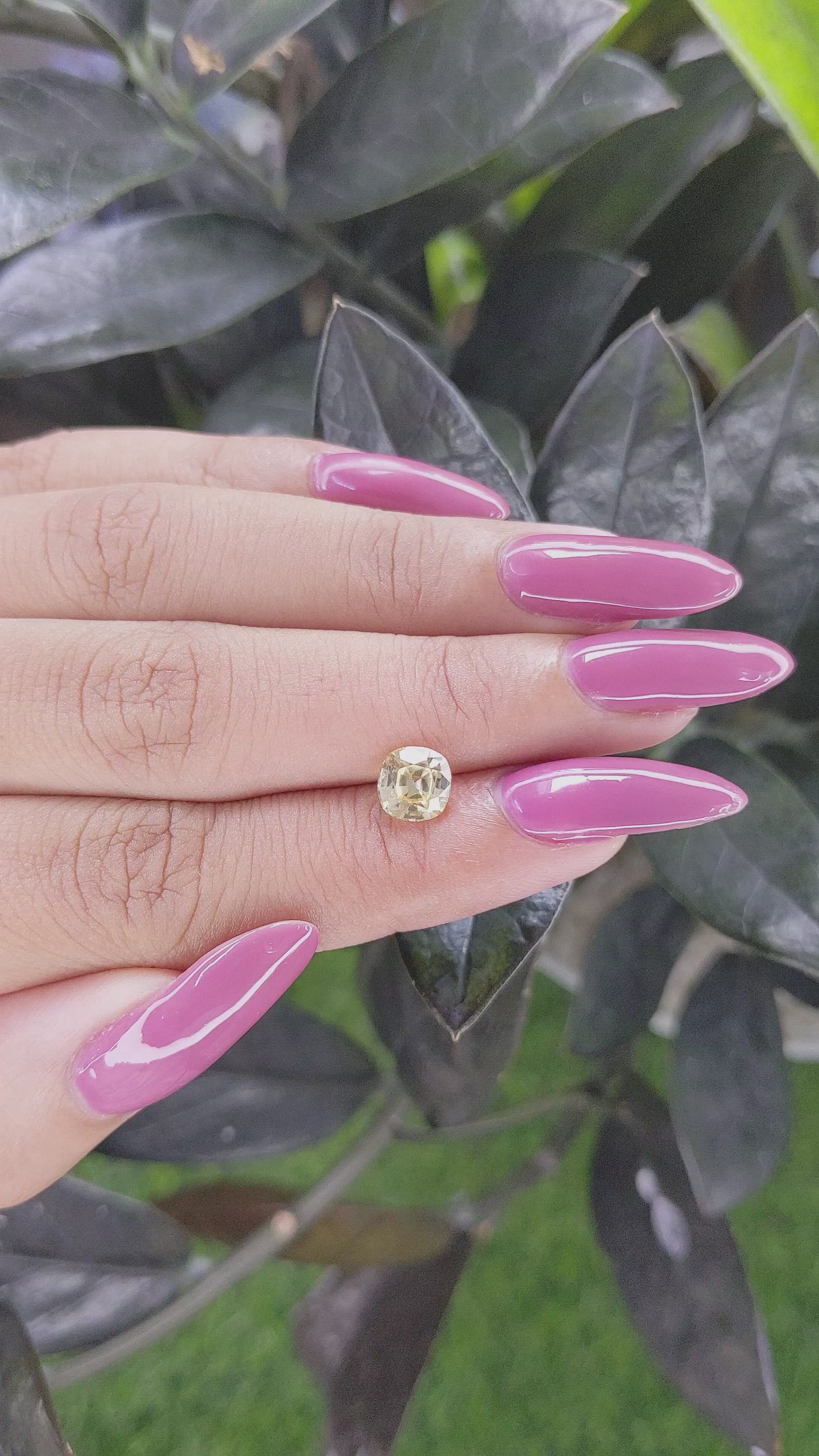 1.48 Ct. Yellow Sapphire from Ceylon (Sri Lanka) Size Video