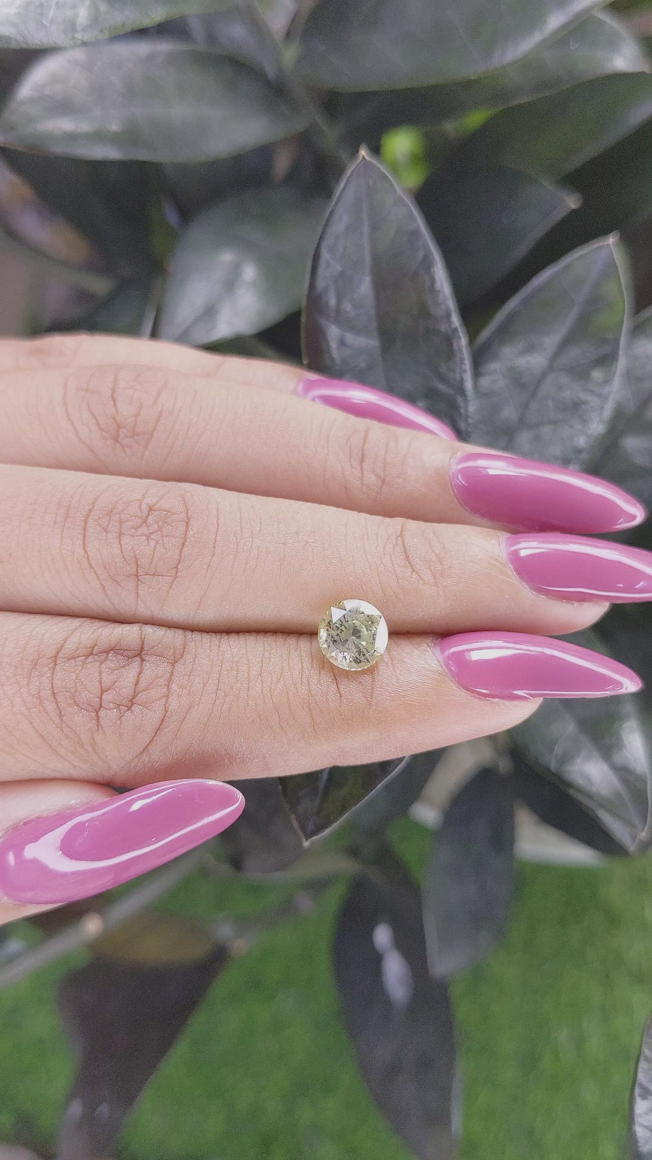 1.87 Ct. Yellow Sapphire from Ceylon (Sri Lanka) Size Video