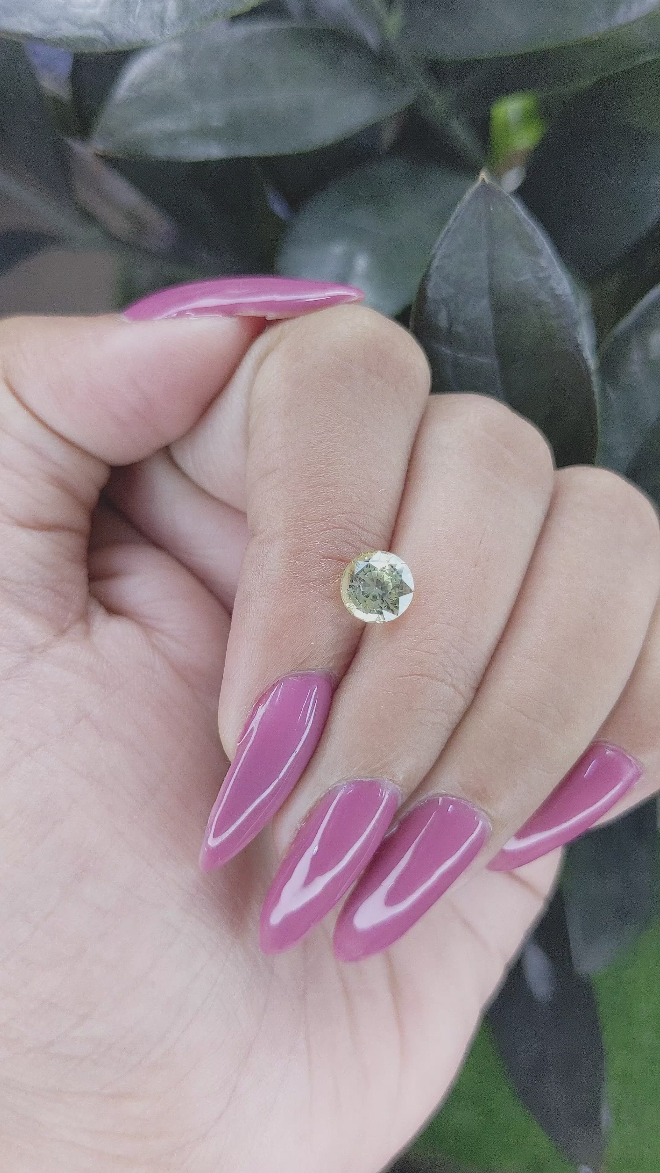 1.87 Ct. Yellow Sapphire from Ceylon (Sri Lanka) Size Video