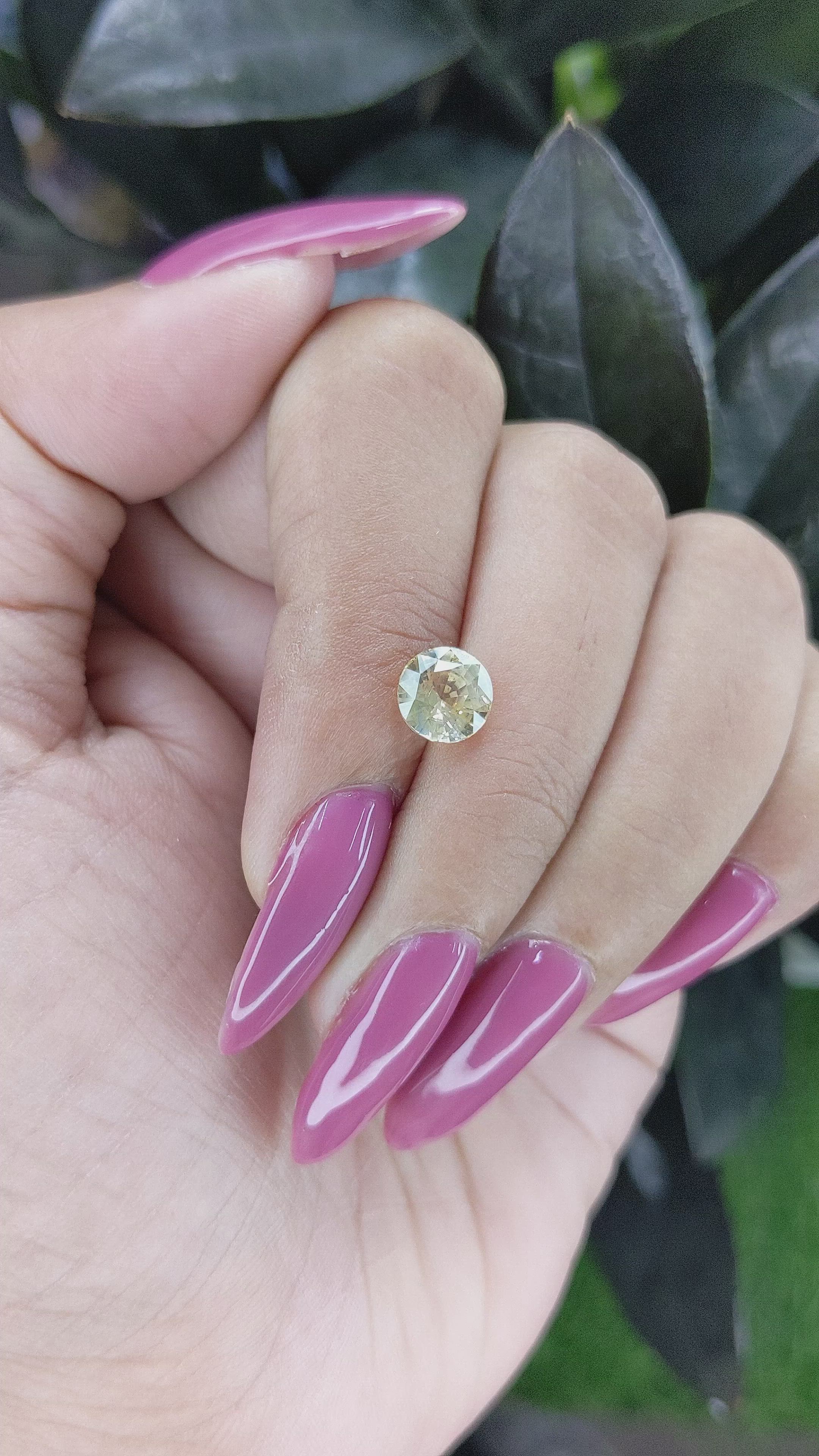 1.82 Ct. Yellow Sapphire from Ceylon (Sri Lanka) Size Video