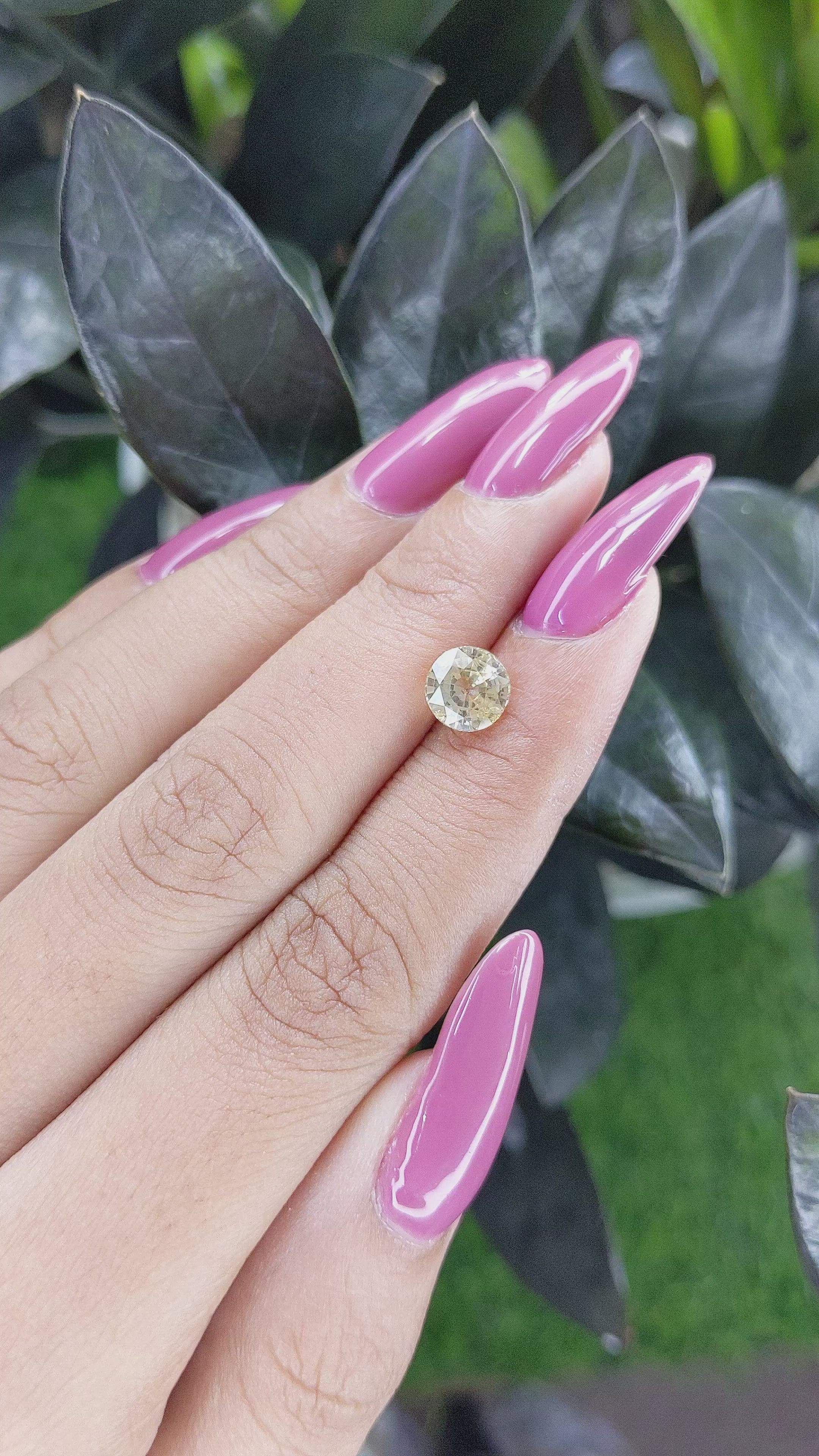 1.82 Ct. Yellow Sapphire from Ceylon (Sri Lanka) Size Video