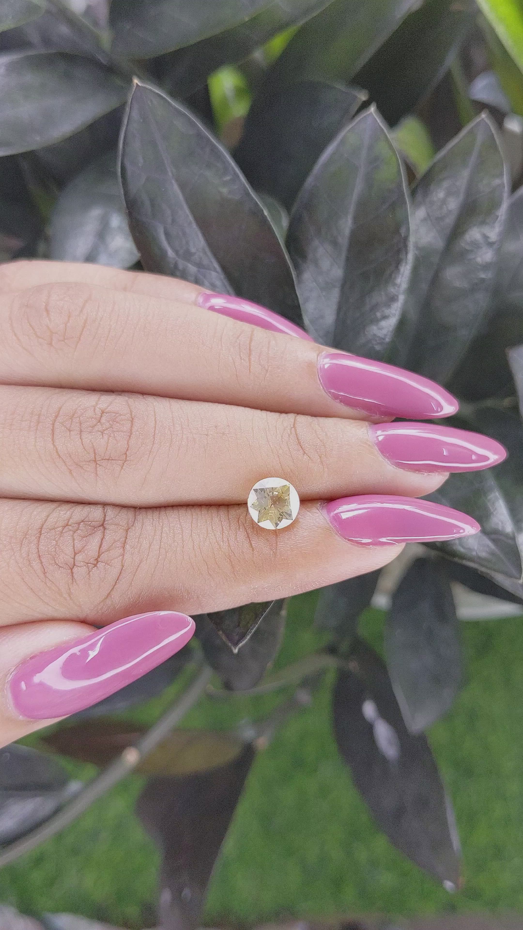 1.82 Ct. Yellow Sapphire from Ceylon (Sri Lanka) Size Video