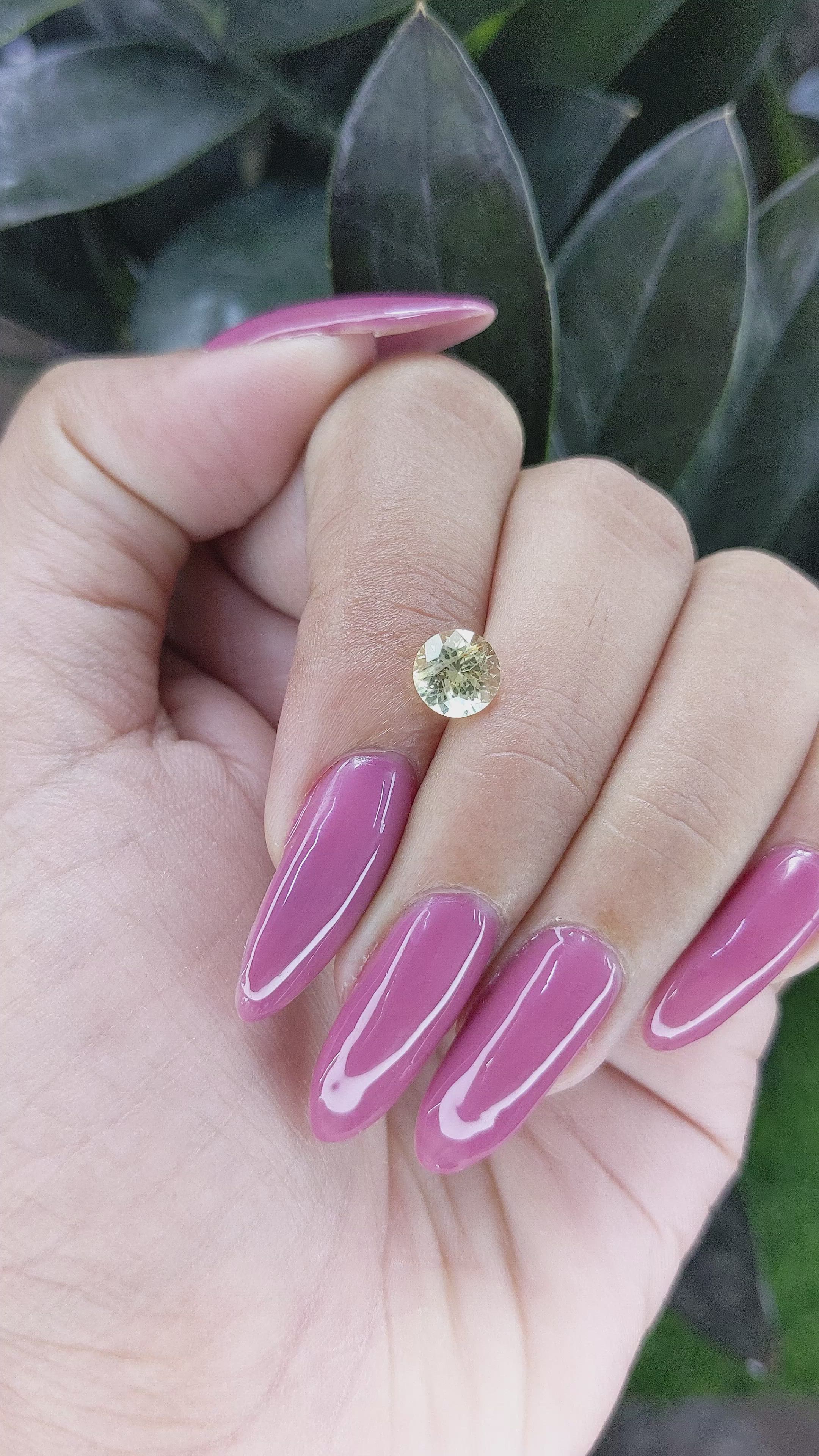 1.35 Ct. Yellow Sapphire from Ceylon (Sri Lanka) Size Video