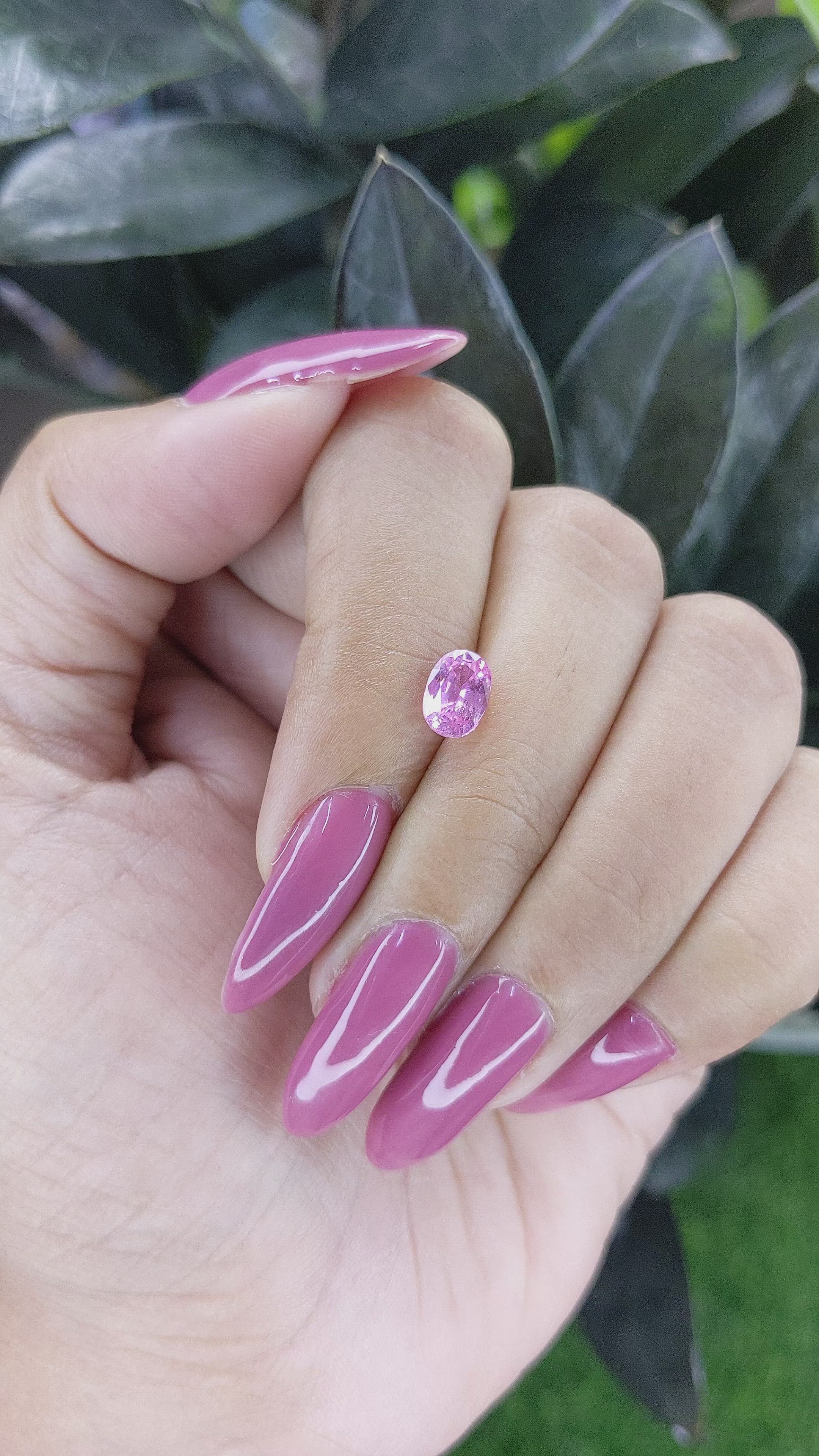 1.24 Ct. Pink Sapphire from Ceylon (Sri Lanka) Size Video