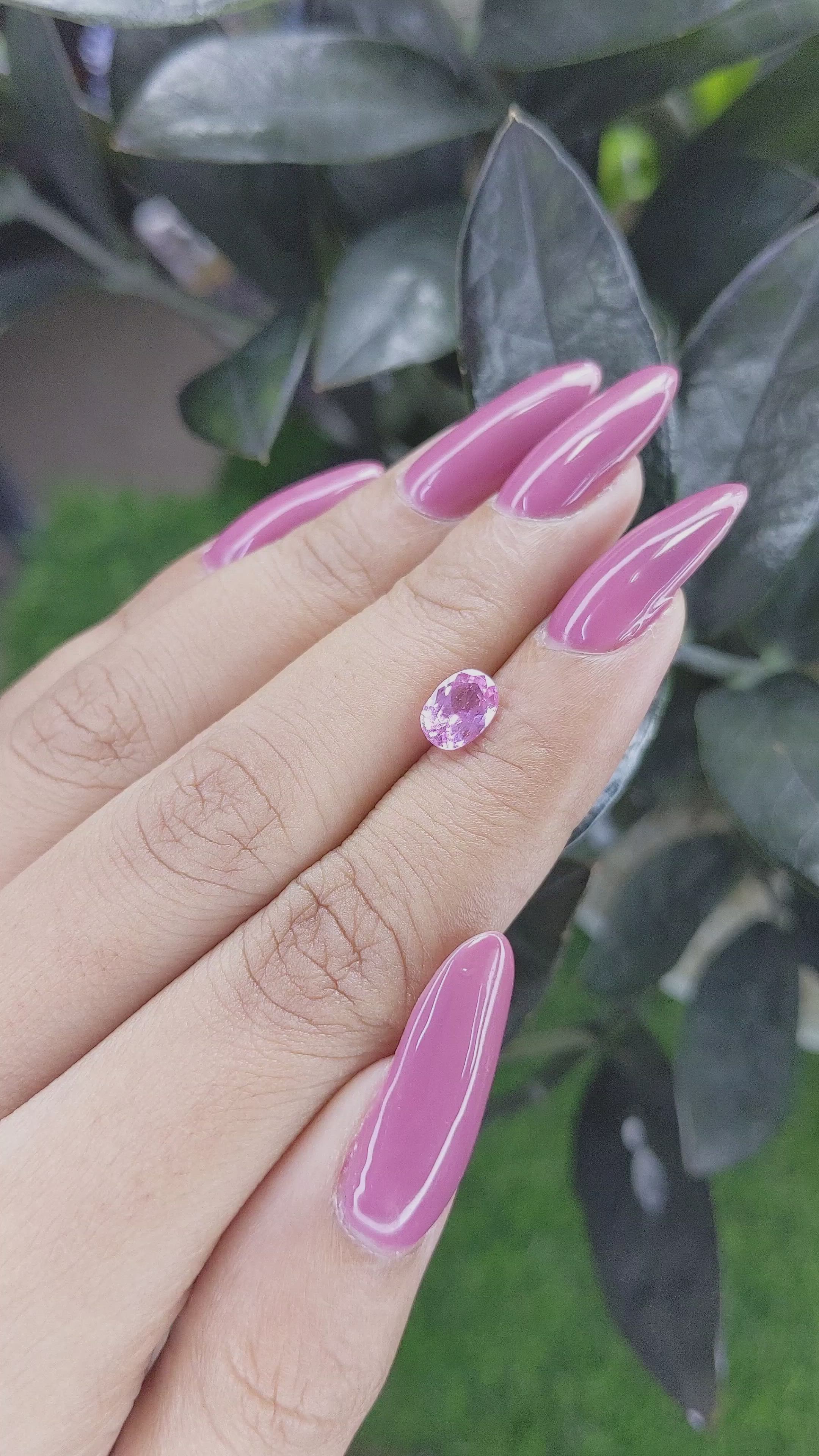 1.24 Ct. Pink Sapphire from Ceylon (Sri Lanka) Size Video