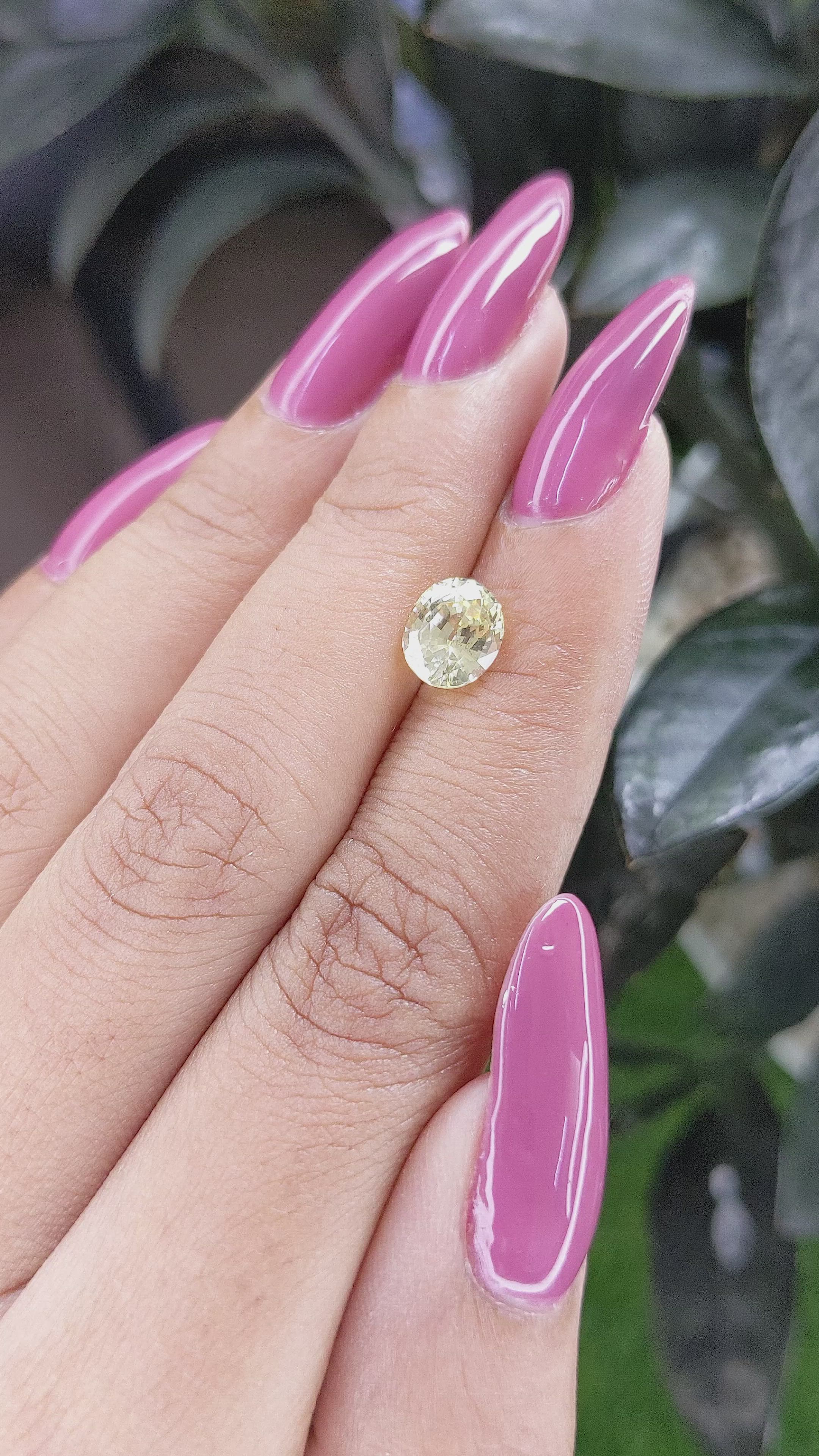 1.84 Ct. Yellow Sapphire from Ceylon (Sri Lanka) Size Video