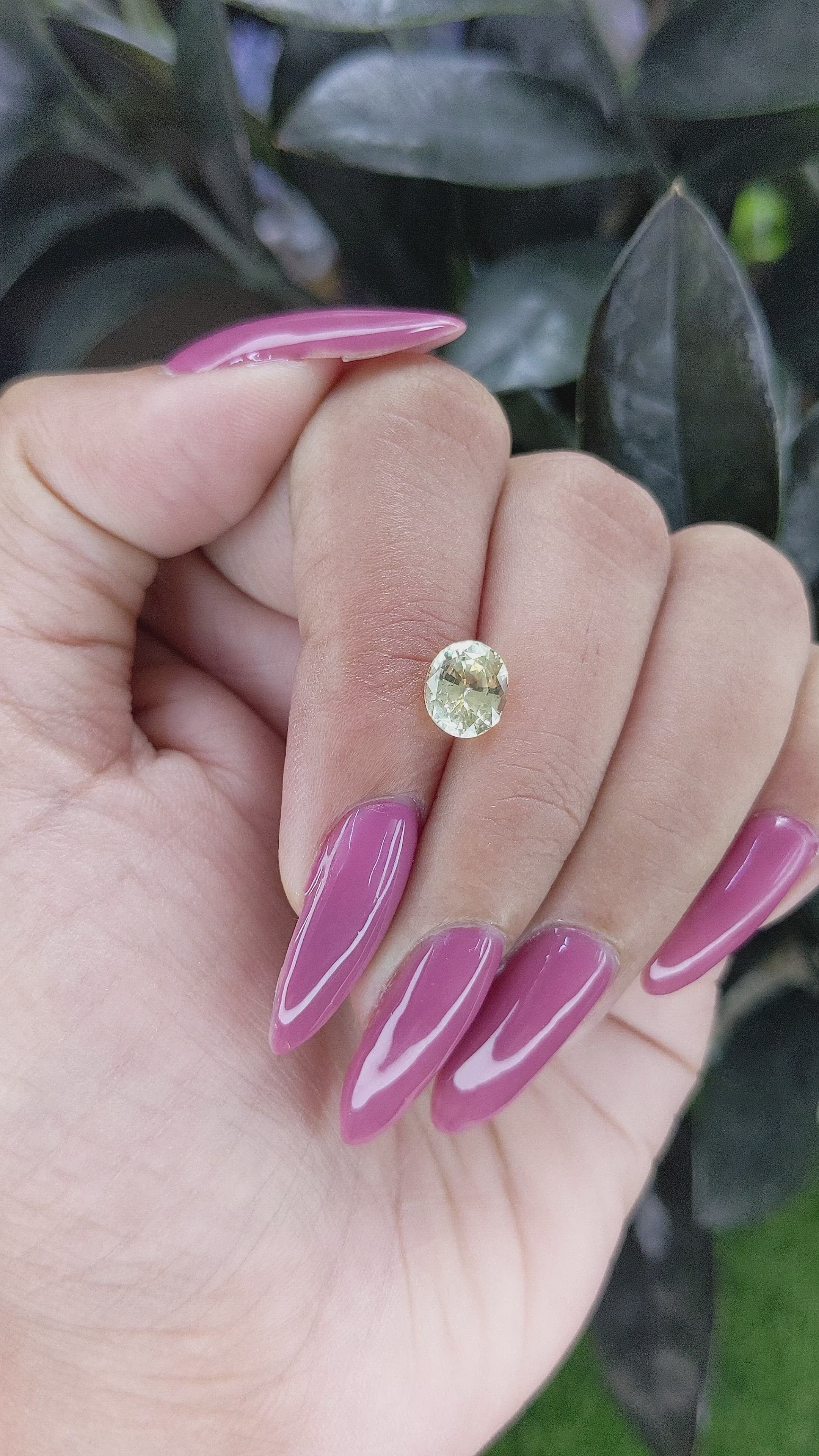 1.84 Ct. Yellow Sapphire from Ceylon (Sri Lanka) Size Video