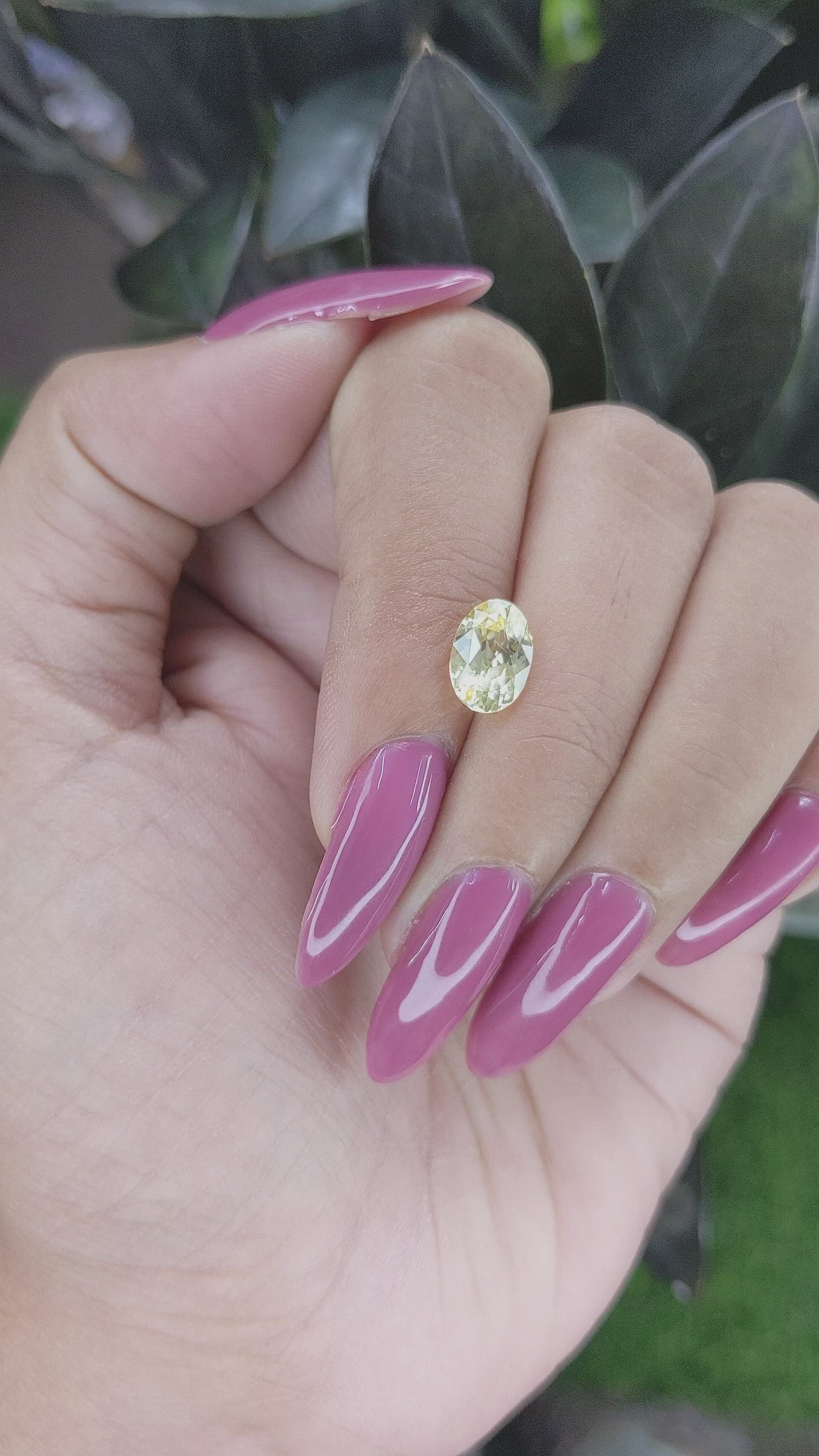 1.96 Ct. Yellow Sapphire from Ceylon (Sri Lanka) Size Video