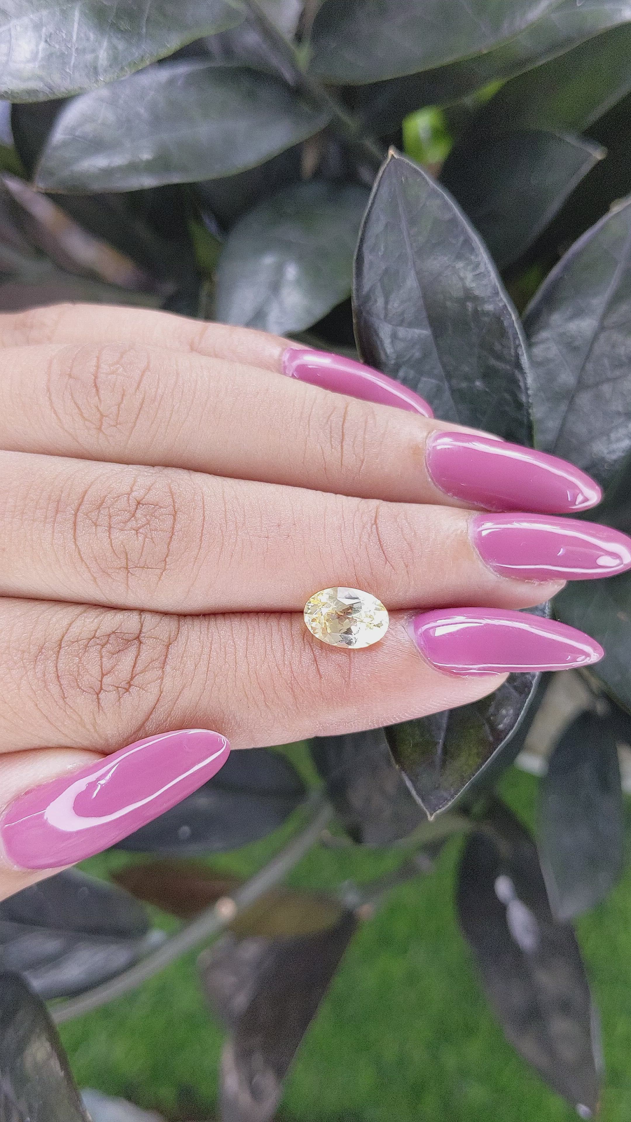 1.96 Ct. Yellow Sapphire from Ceylon (Sri Lanka) Size Video