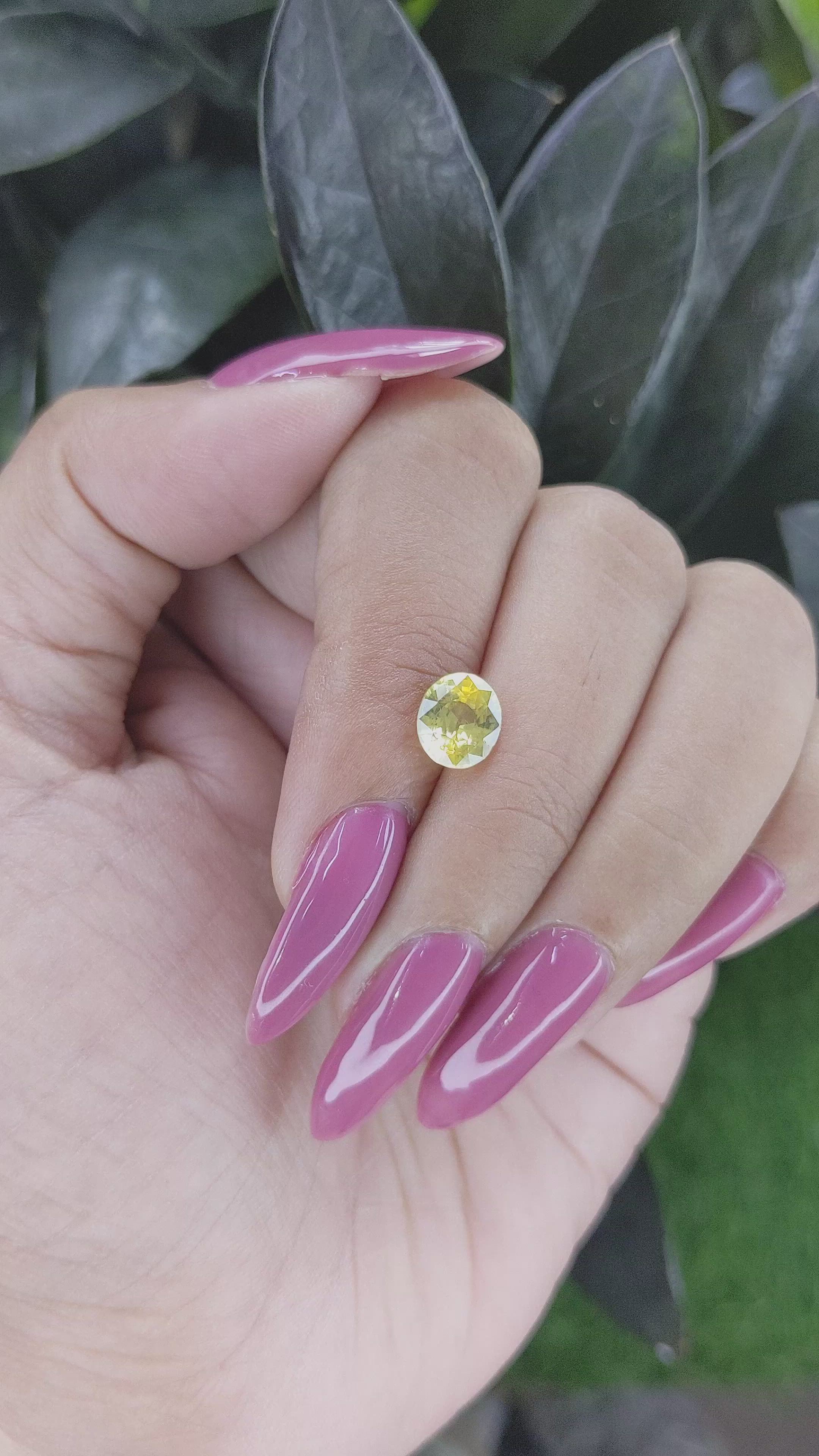 1.87 Ct. Yellow Sapphire from Ceylon (Sri Lanka) Size Video