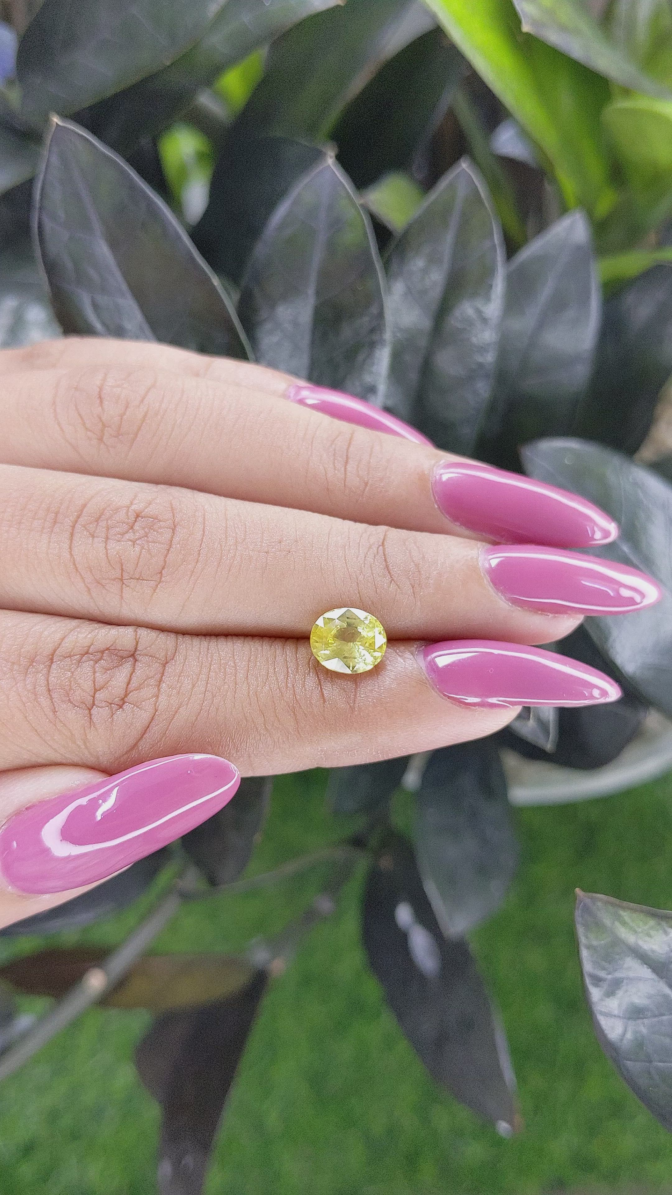 1.87 Ct. Yellow Sapphire from Ceylon (Sri Lanka) Size Video