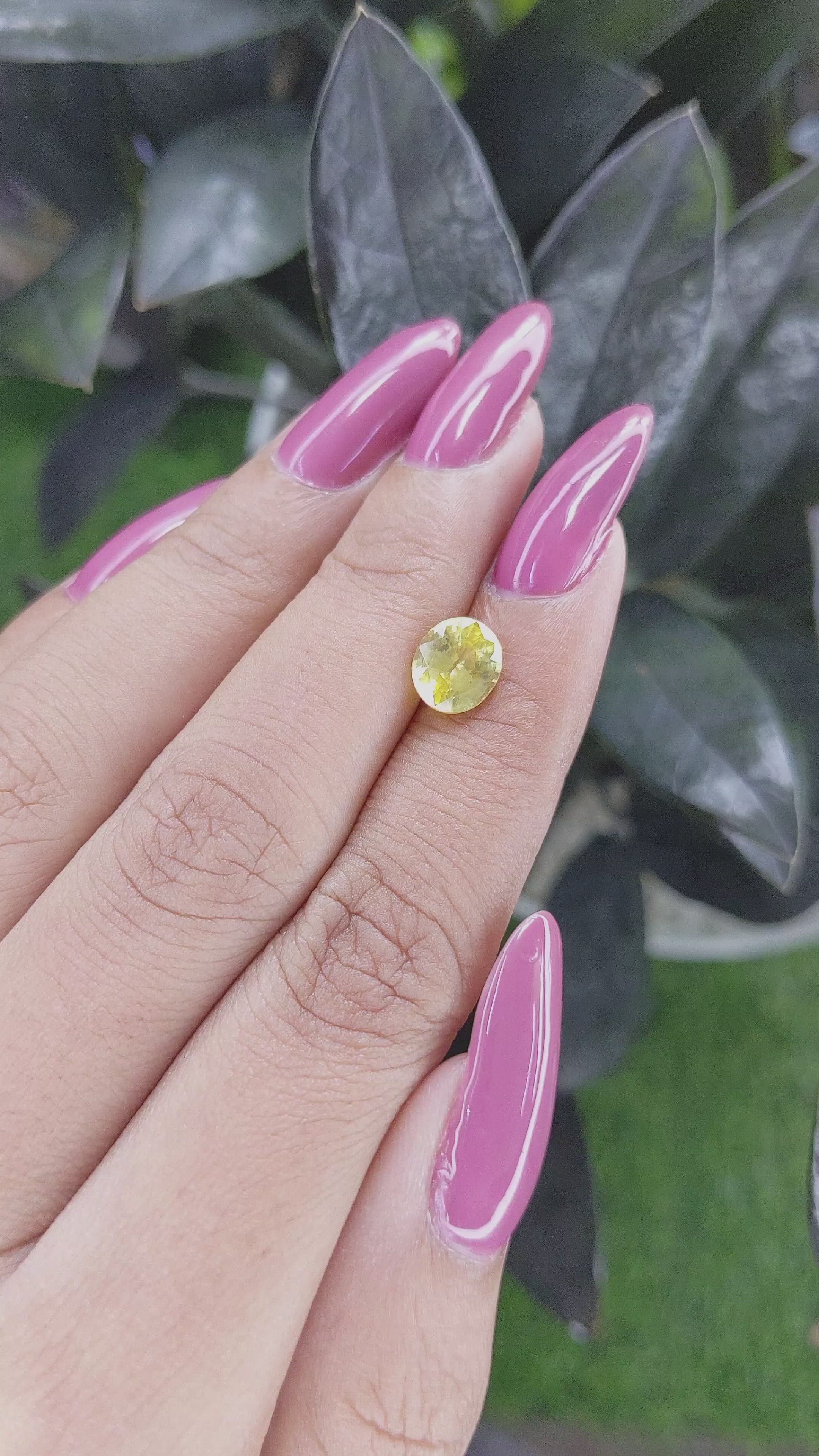 1.87 Ct. Yellow Sapphire from Ceylon (Sri Lanka) Size Video