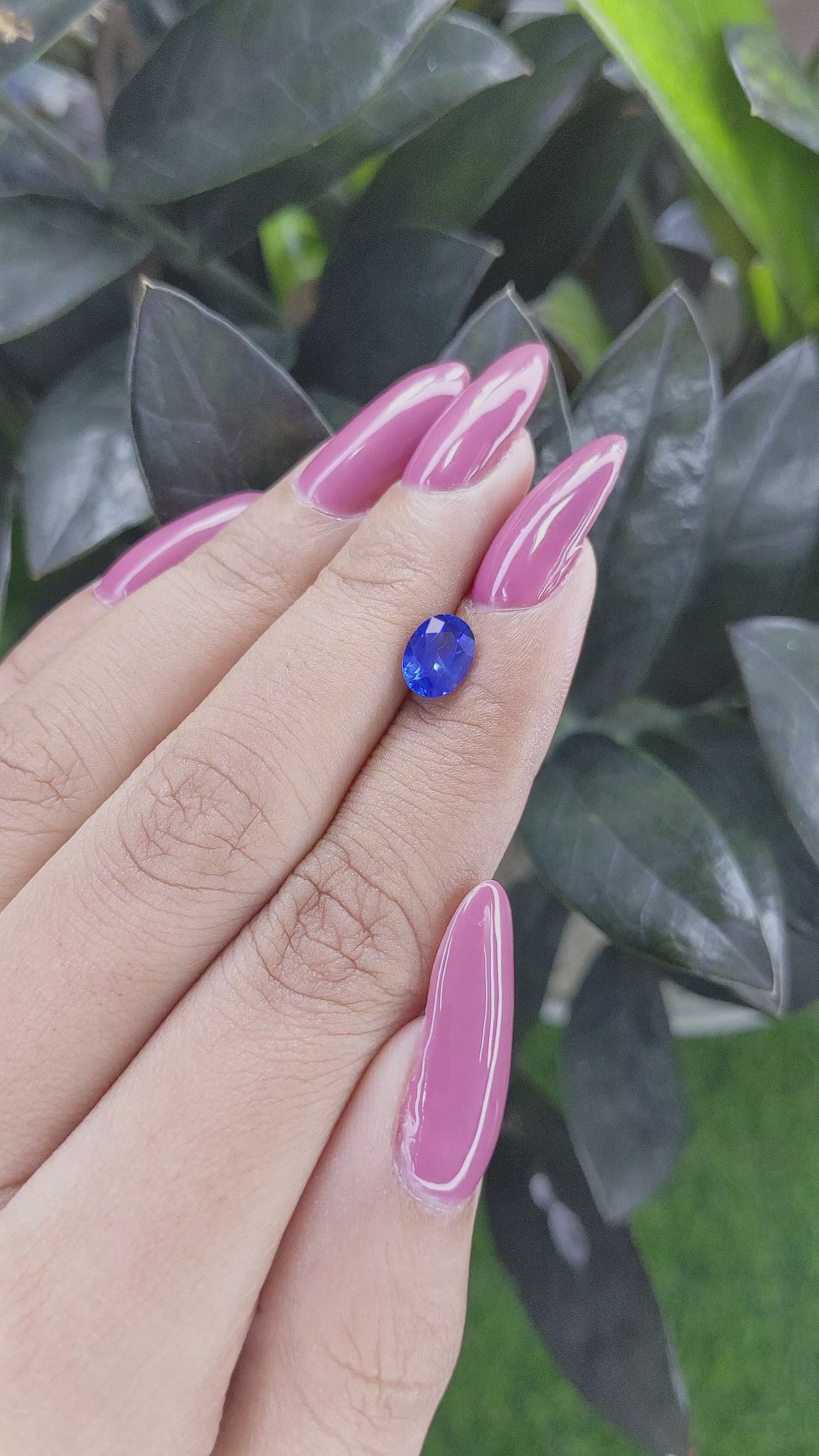 1.79 Ct. Blue Sapphire from Ceylon (Sri Lanka) Size Video