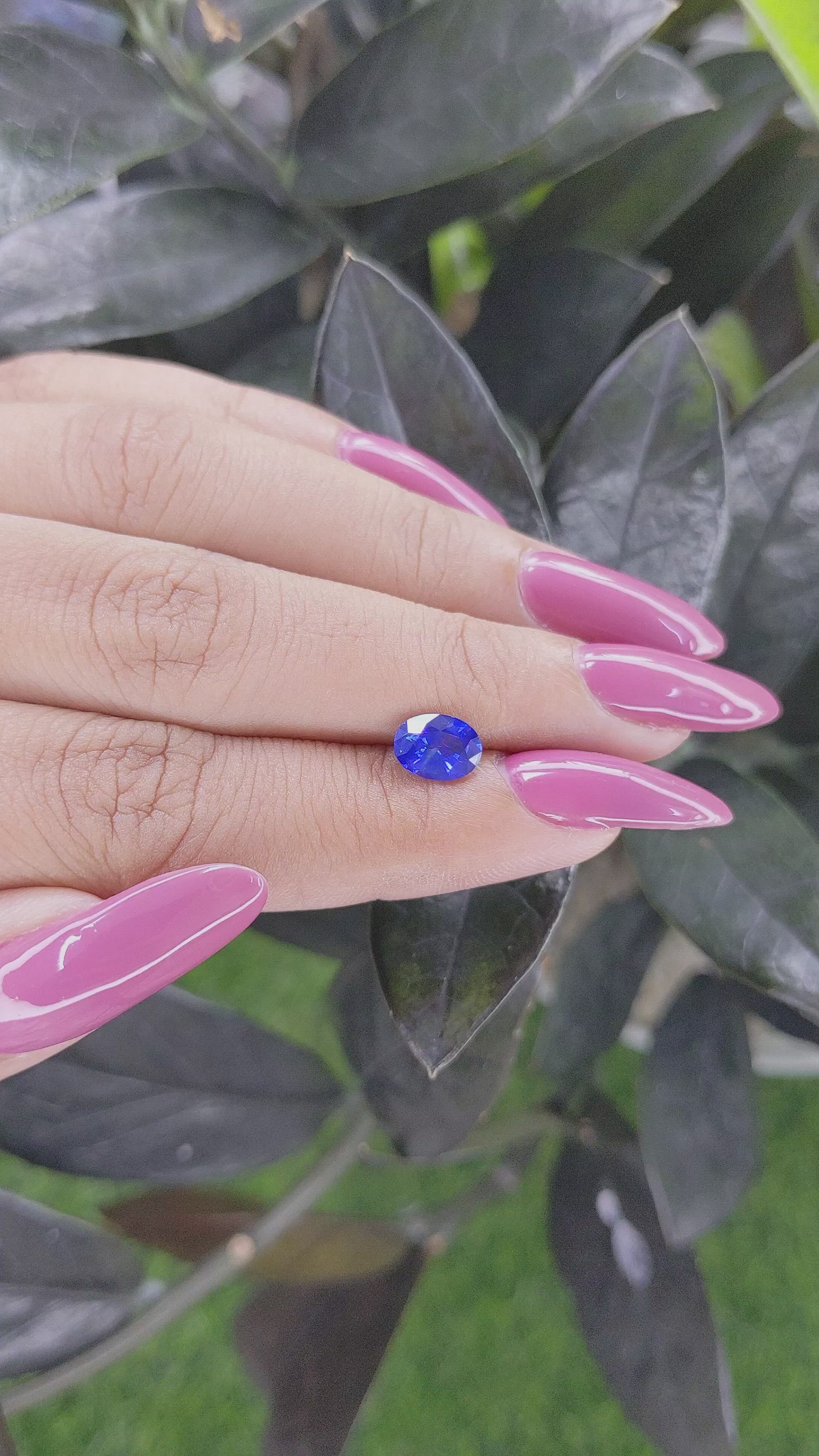 1.79 Ct. Blue Sapphire from Ceylon (Sri Lanka) Size Video