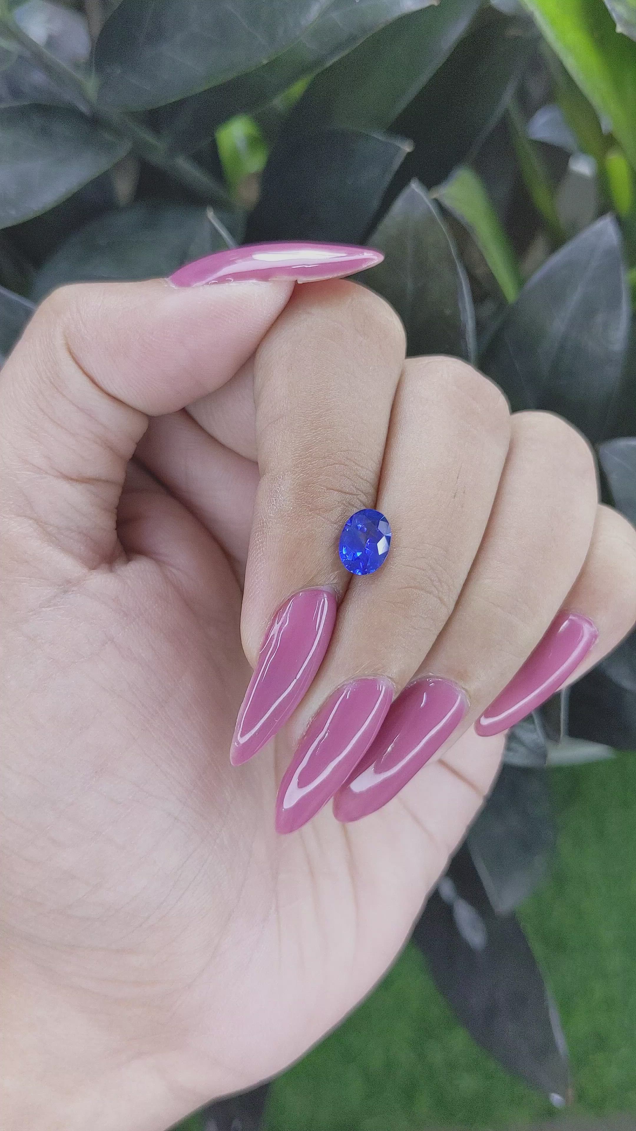 1.79 Ct. Blue Sapphire from Ceylon (Sri Lanka) Size Video