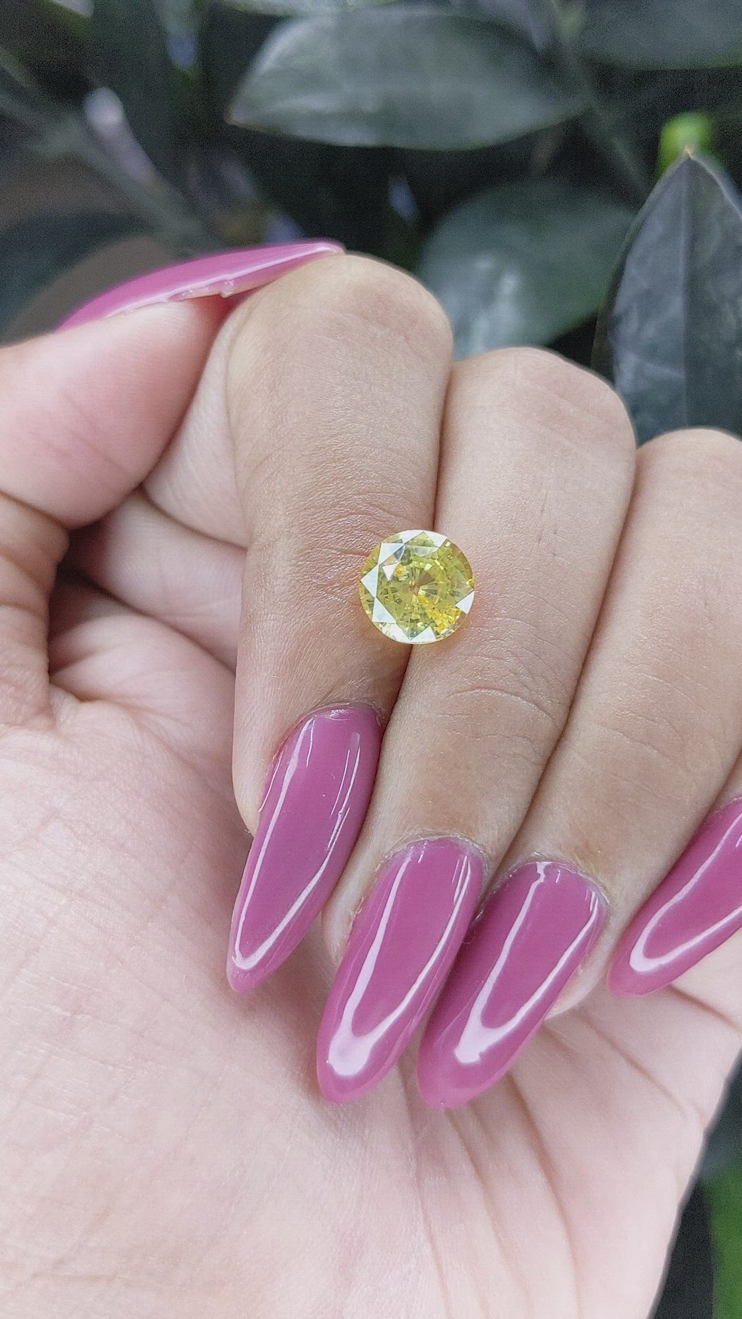 2.83 Ct. Yellow Sapphire from Ceylon (Sri Lanka) Size Video