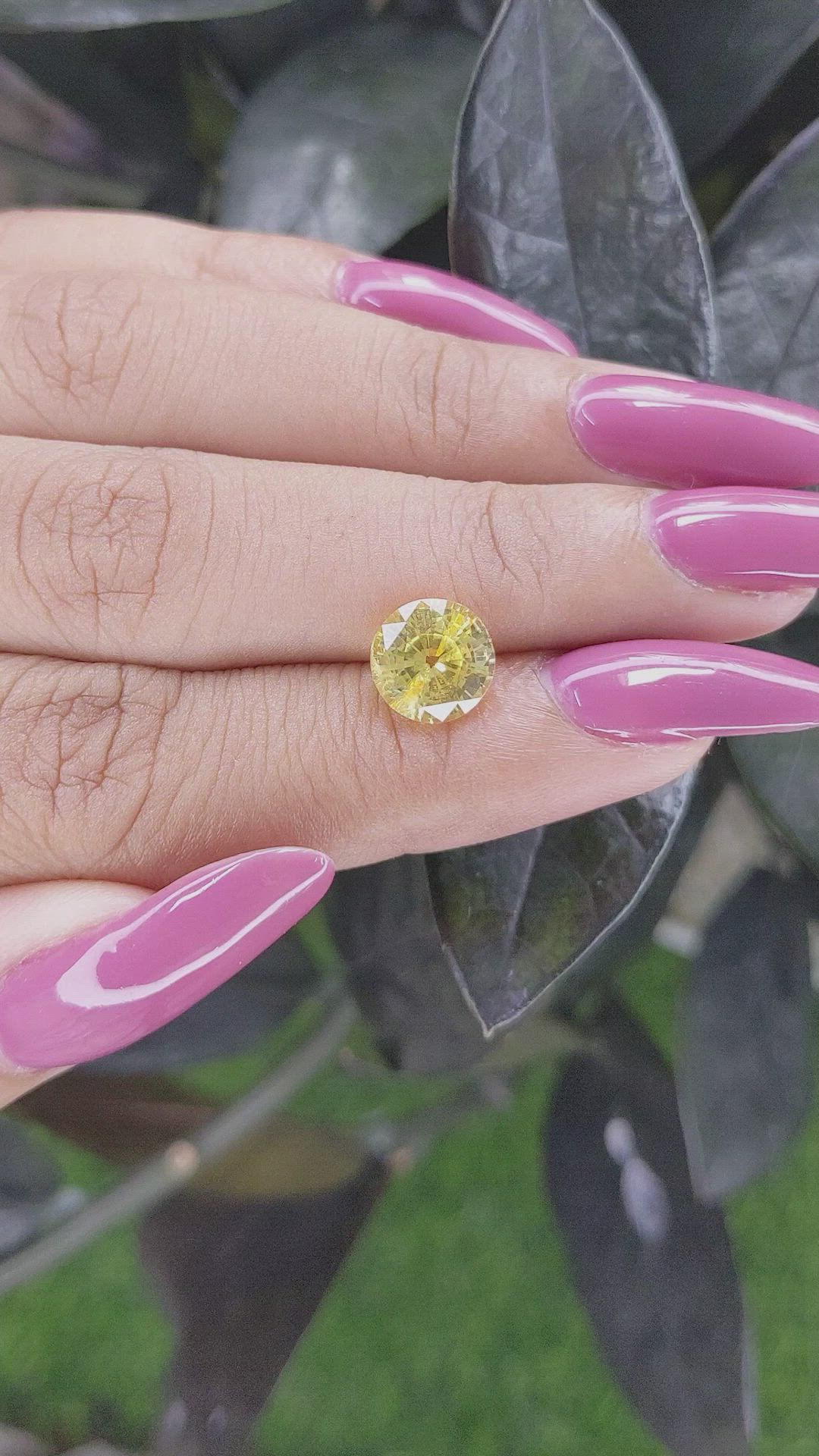 2.83 Ct. Yellow Sapphire from Ceylon (Sri Lanka) Size Video