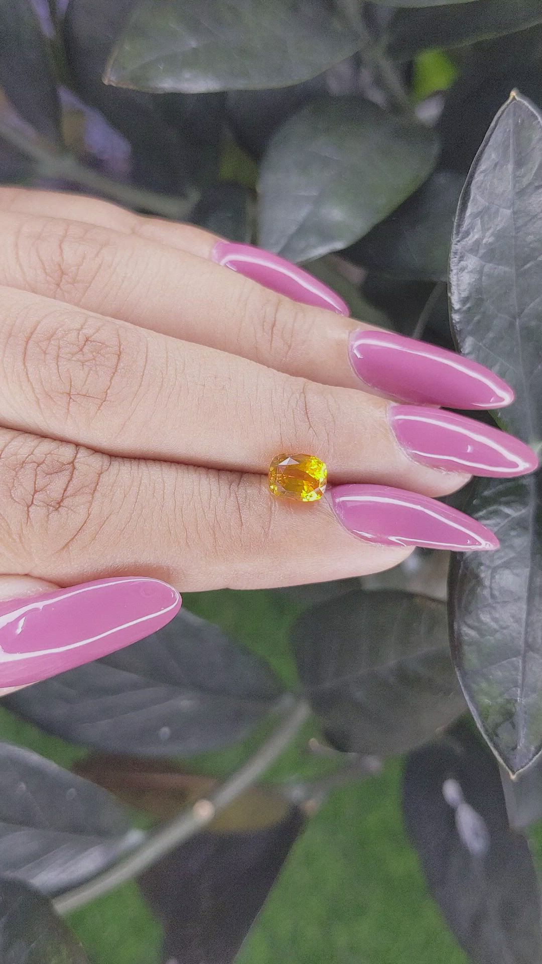 1.55 Ct. Orange Sapphire from Ceylon (Sri Lanka) Size Video