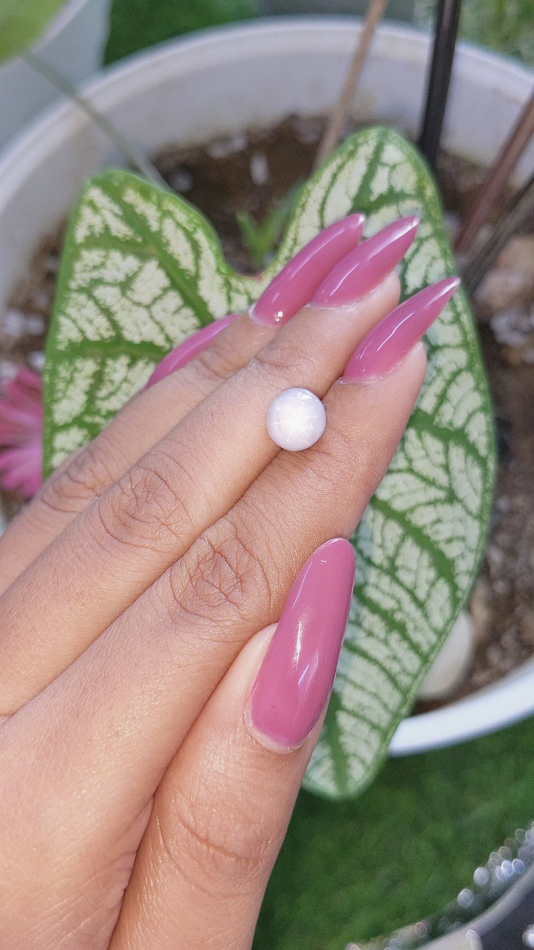 4.38 Ct. Grey Star Sapphire from Ceylon (Sri Lanka) Size Video