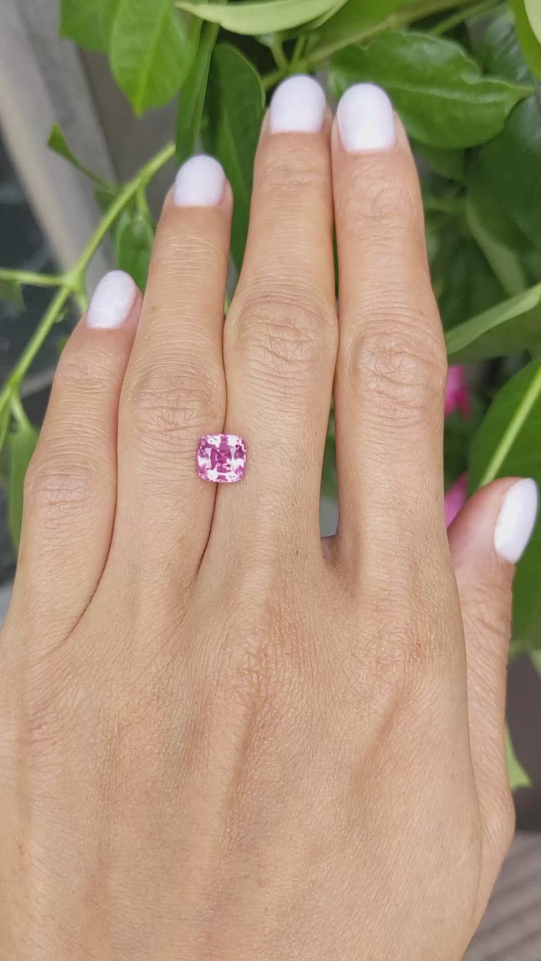 2.04 Ct. Pink Sapphire from Ceylon (Sri Lanka) Size Video