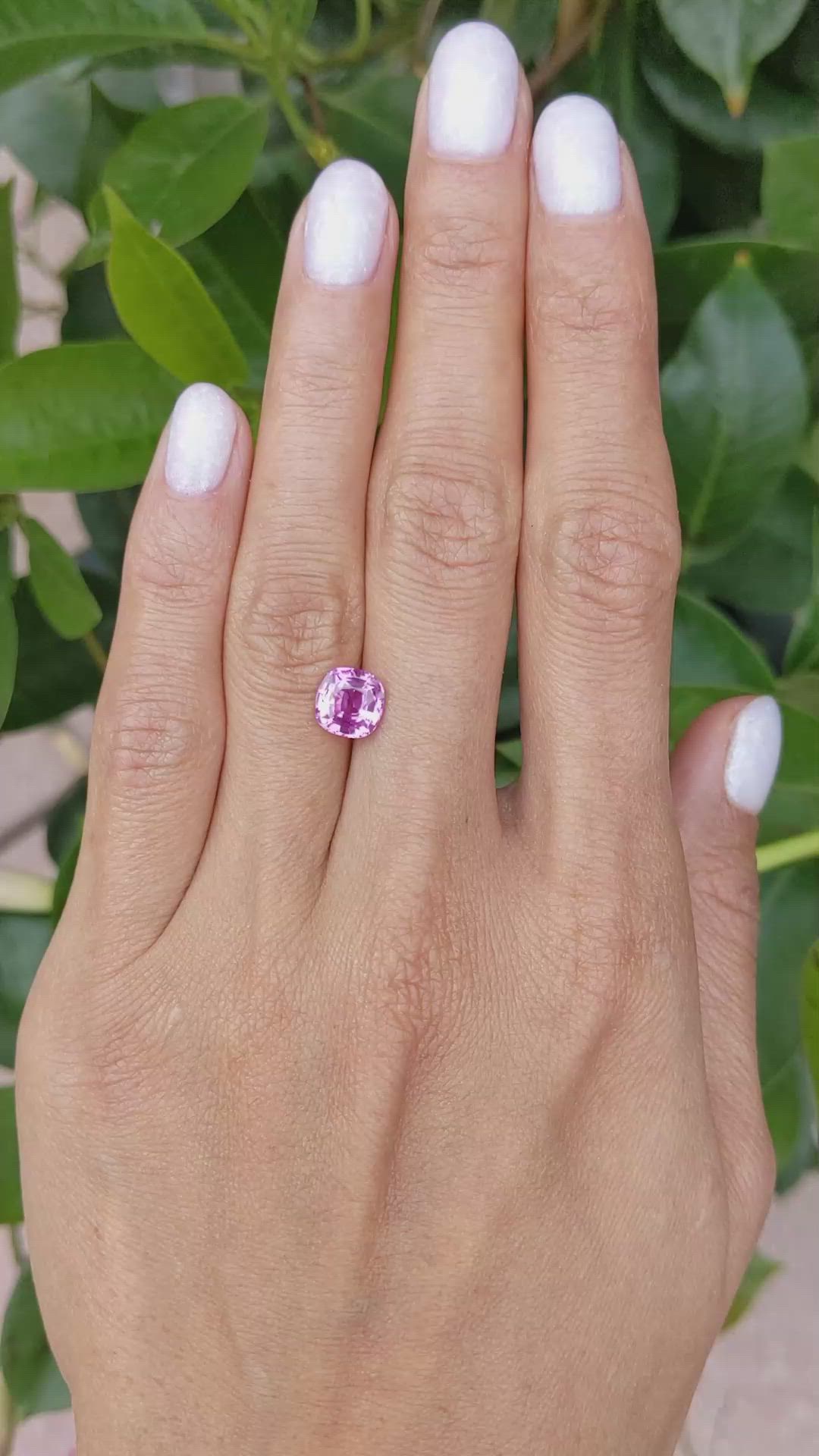 2.05 Ct. Pink Sapphire from Ceylon (Sri Lanka) Size Video