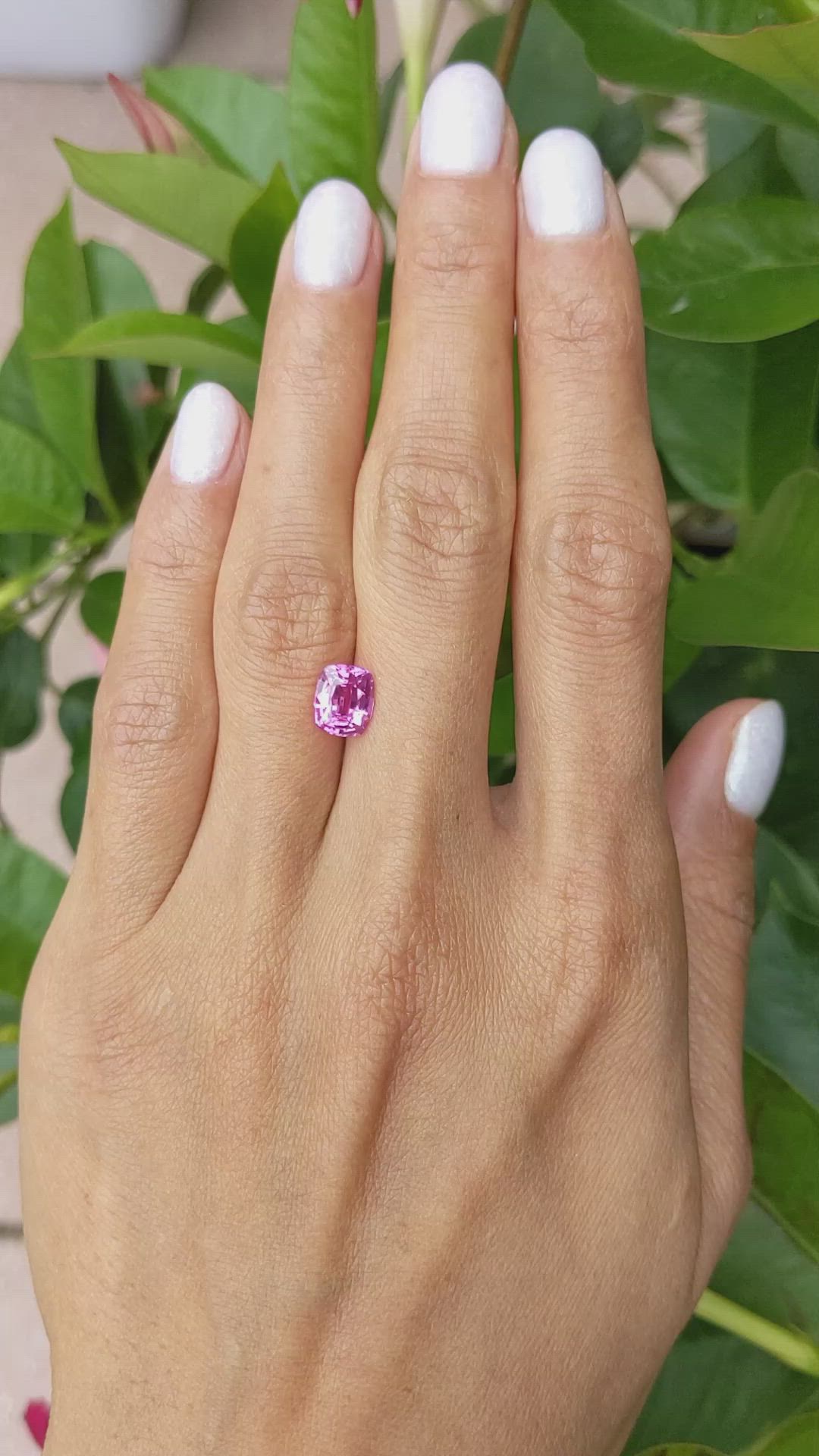 2.14 Ct. Purplish Pink Sapphire from Ceylon (Sri Lanka) Size Video