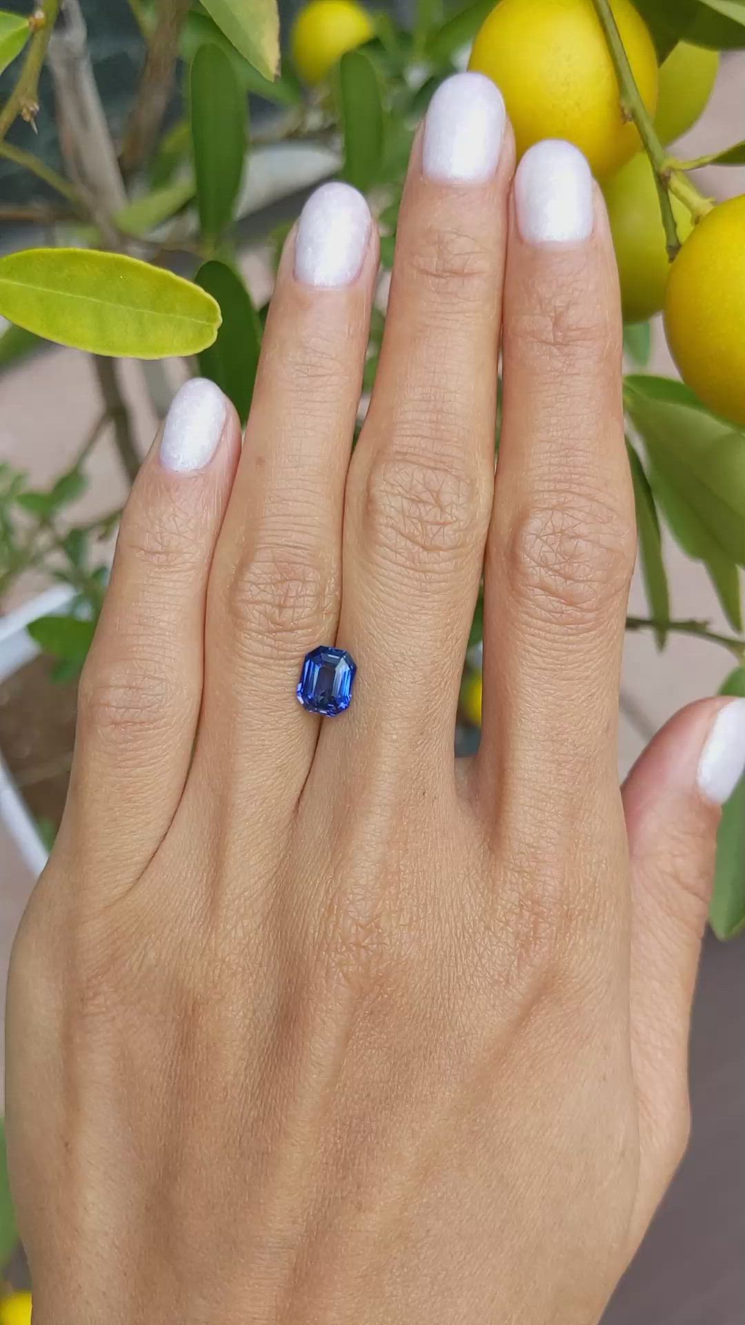 2.04 Ct. Blue Sapphire from Ceylon (Sri Lanka) Size Video
