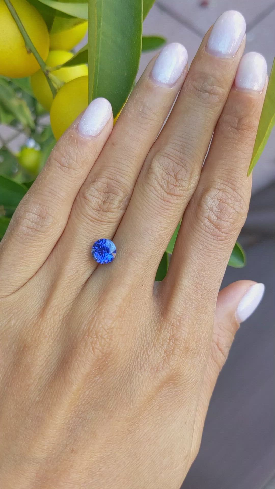 2.15 Ct. Blue Sapphire from Ceylon (Sri Lanka) Size Video