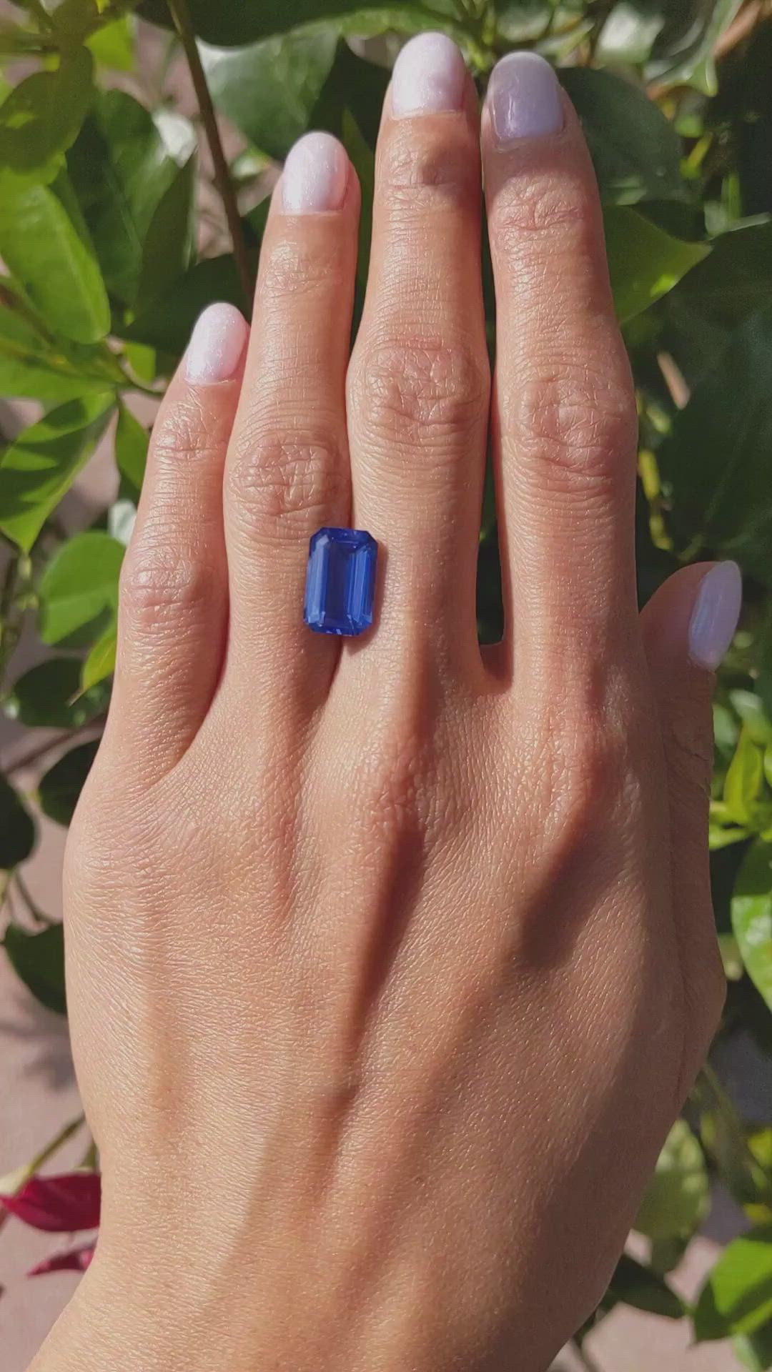 6.67 Ct. Blue Sapphire from Ceylon (Sri Lanka) Size Video