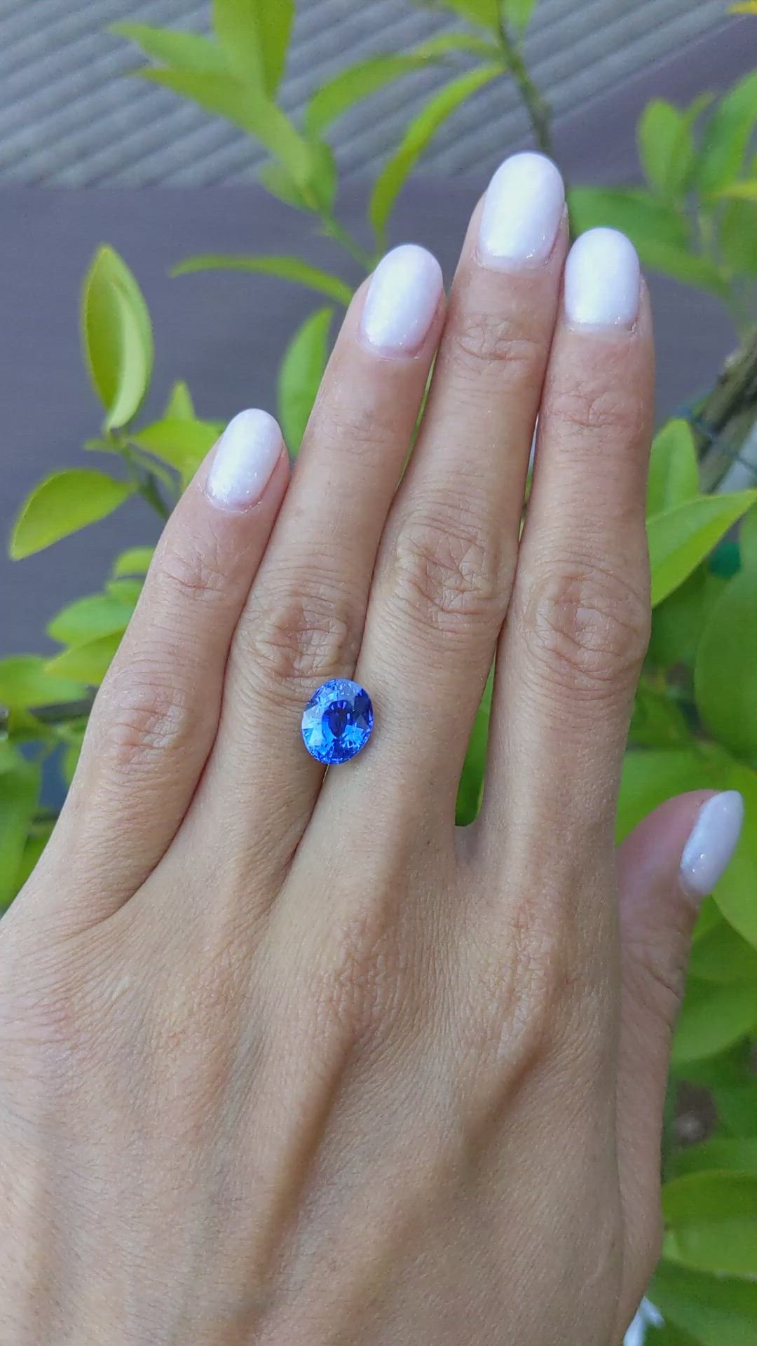 3.63 Ct. Blue Sapphire from Ceylon (Sri Lanka) Size Video