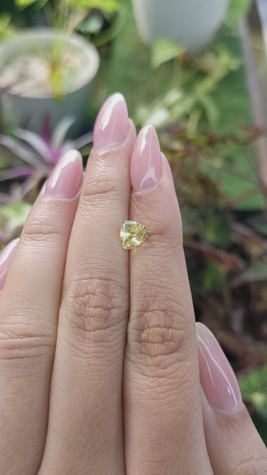 1.08 Ct. Yellow Sapphire from Ceylon (Sri Lanka) Size Video