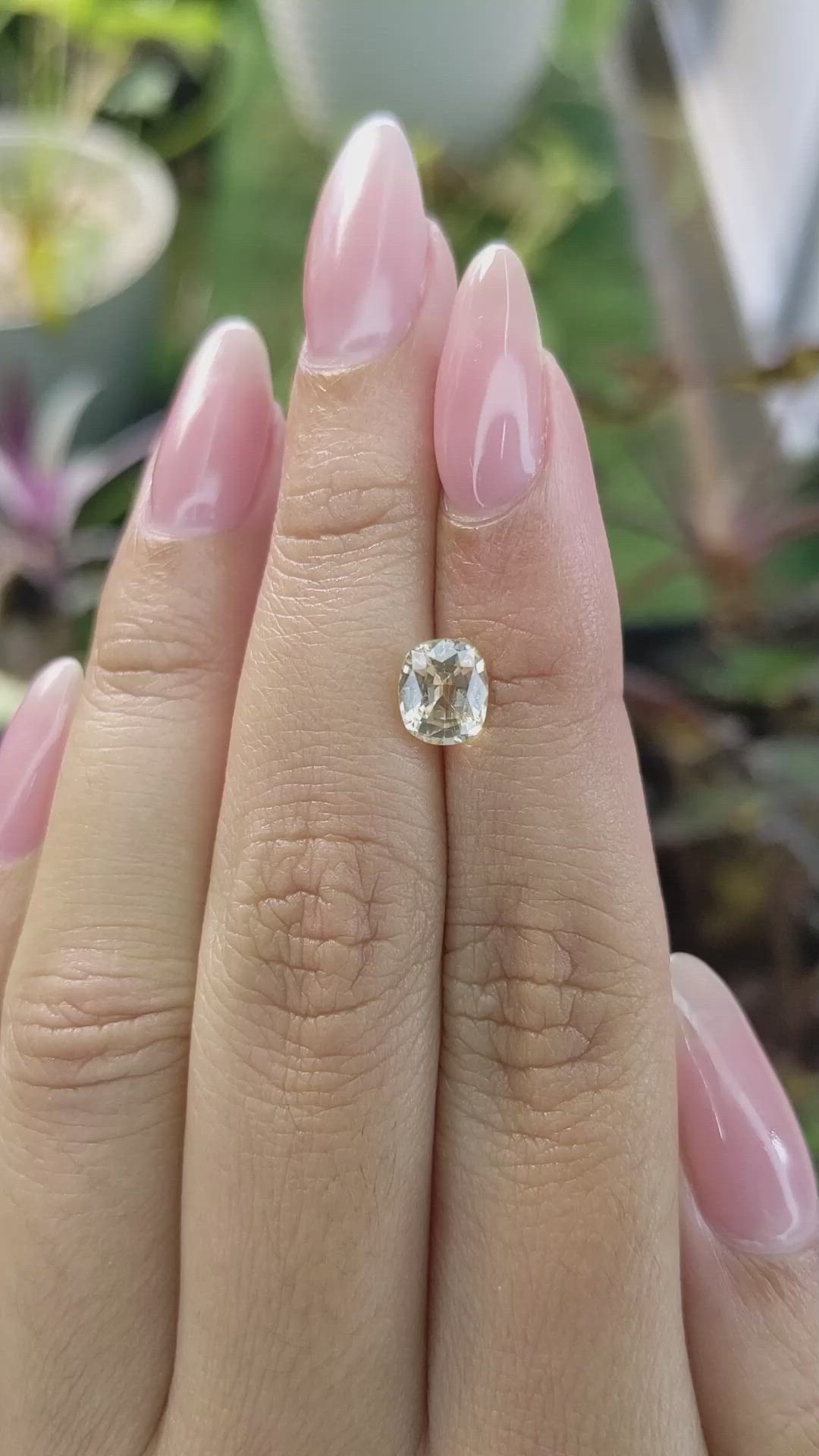 1.55 Ct. Yellow Sapphire from Ceylon (Sri Lanka) Size Video