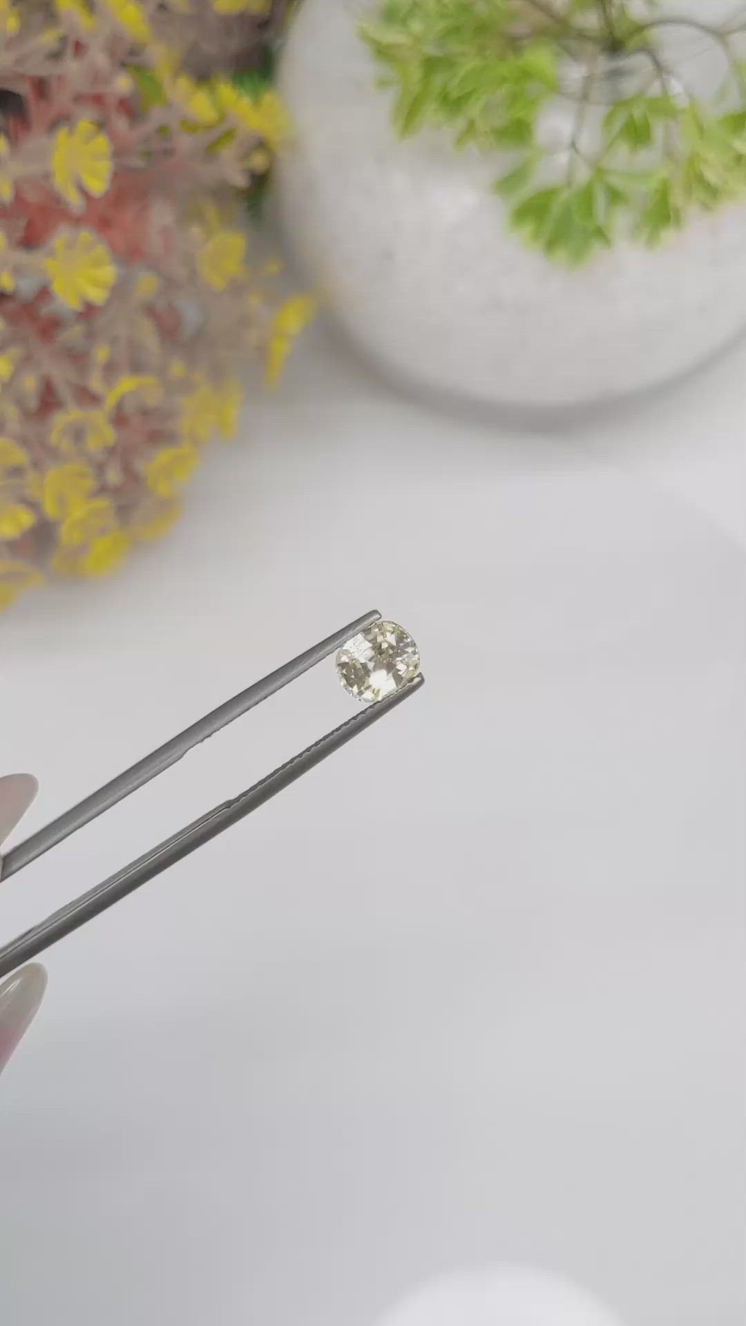 1.55 Ct. Yellow Sapphire from Ceylon (Sri Lanka) Size Video