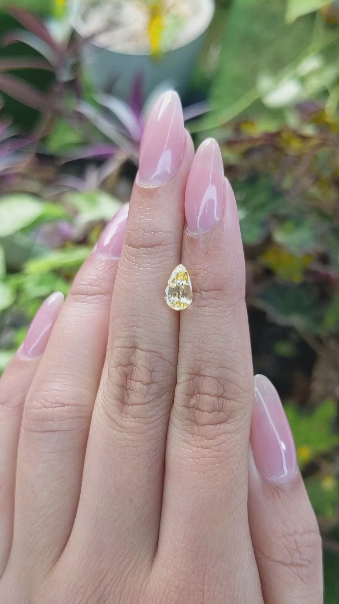 1.72 Ct. Yellow Sapphire from Ceylon (Sri Lanka) Size Video