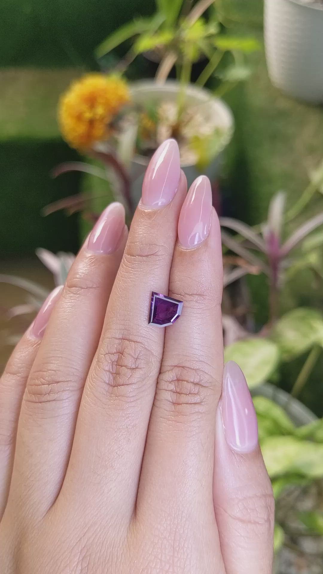 1.62 Ct. Pinkish Purple Sapphire from Ceylon (Sri Lanka) Size Video