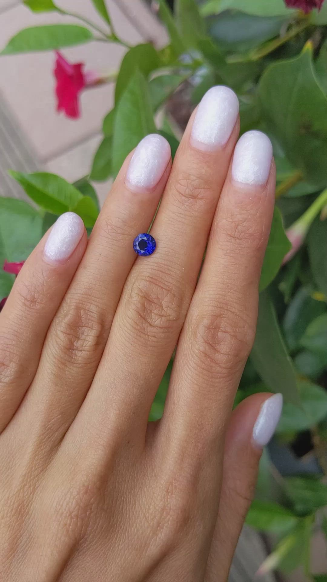 0.79 Ct. Blue Sapphire from Ceylon (Sri Lanka) Size Video