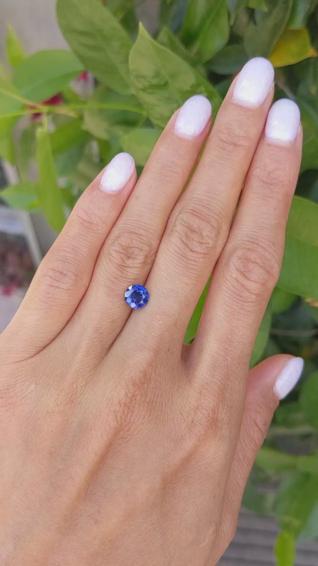 1.34 Ct. Blue Sapphire from Ceylon (Sri Lanka) Size Video