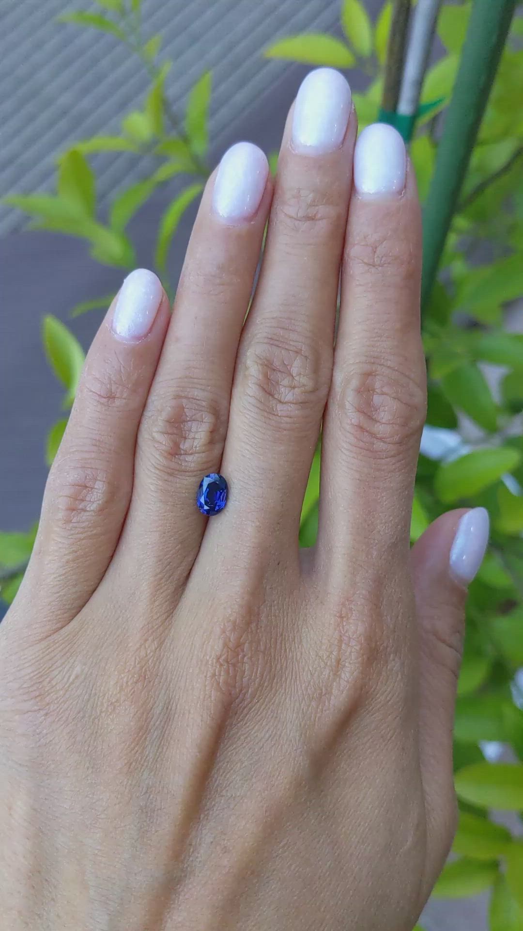 1.07 Ct. Blue Sapphire from Ceylon (Sri Lanka) Size Video