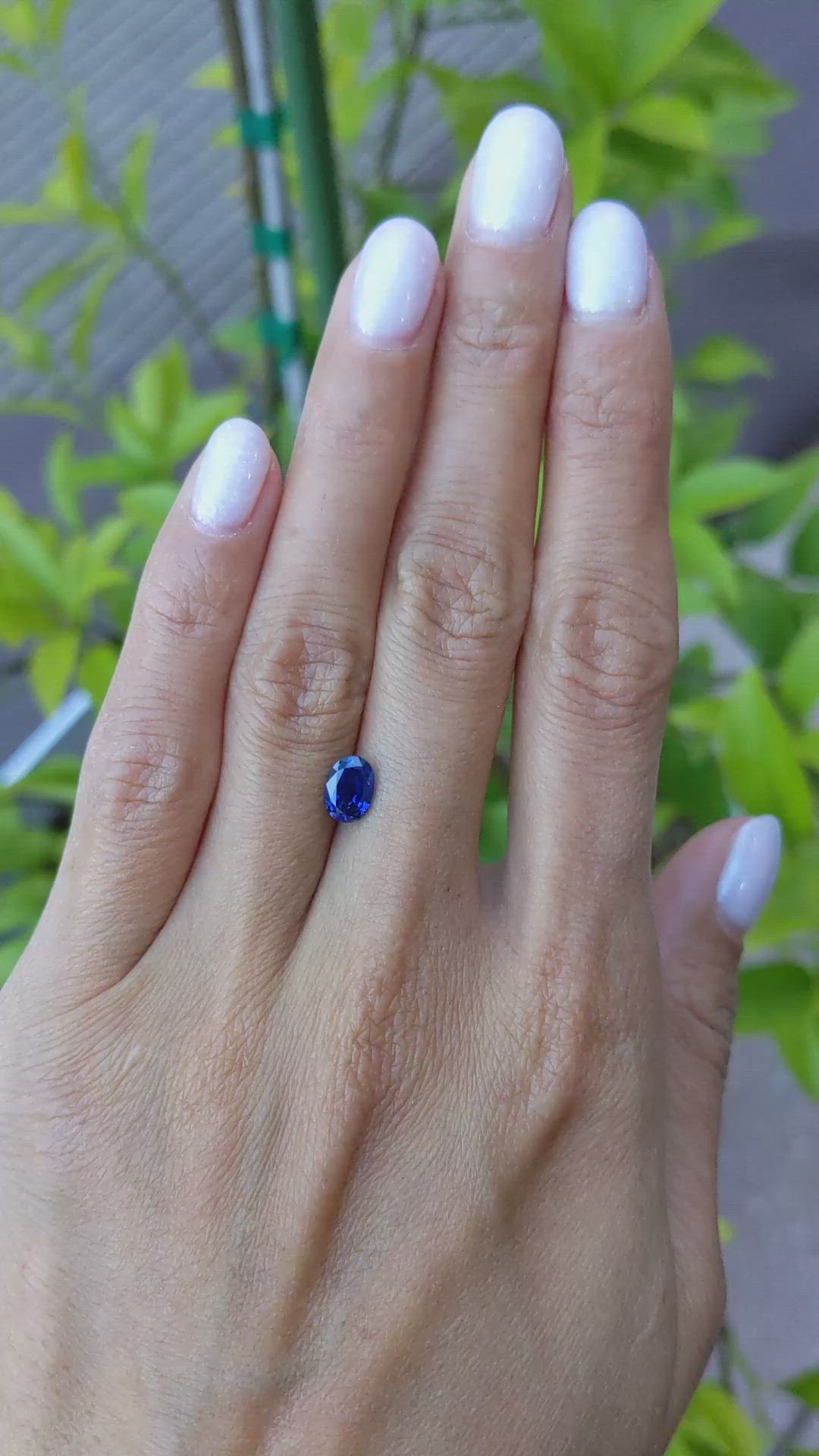 1.07 Ct. Blue Sapphire from Ceylon (Sri Lanka) Size Video