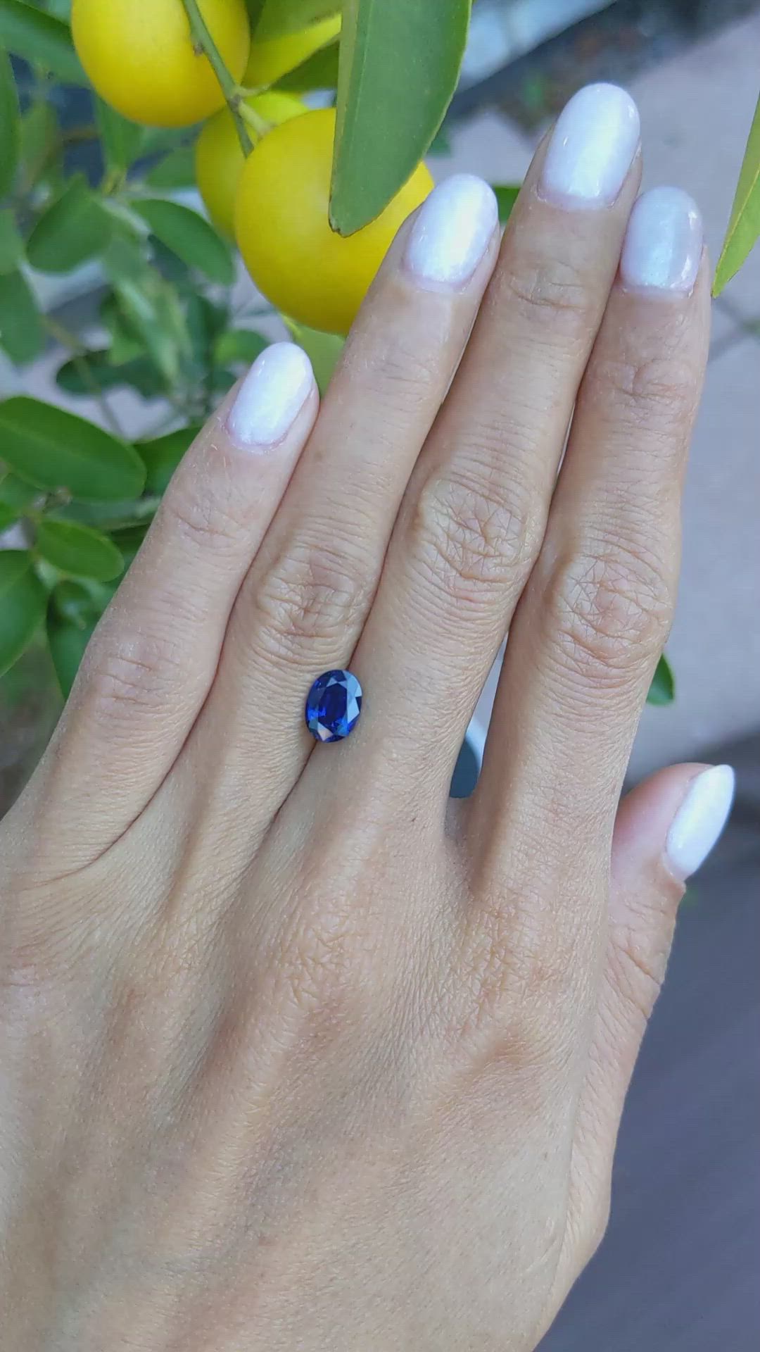 1.44 Ct. Blue Sapphire from Ceylon (Sri Lanka) Size Video