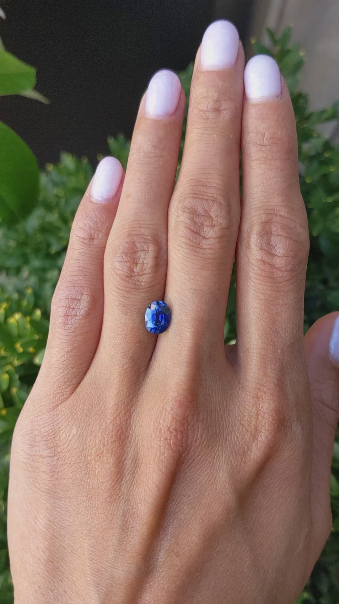 1.69 Ct. Blue Sapphire from Ceylon (Sri Lanka) Size Video