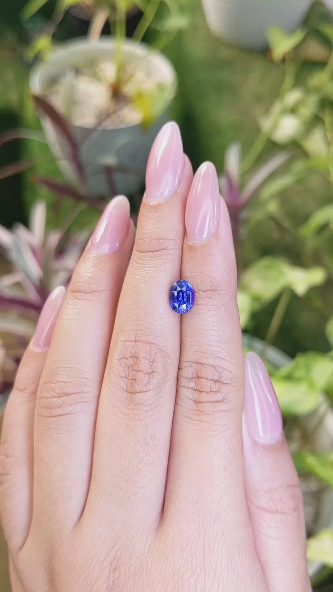 1.79 Ct. Blue Sapphire from Ceylon (Sri Lanka) Size Video