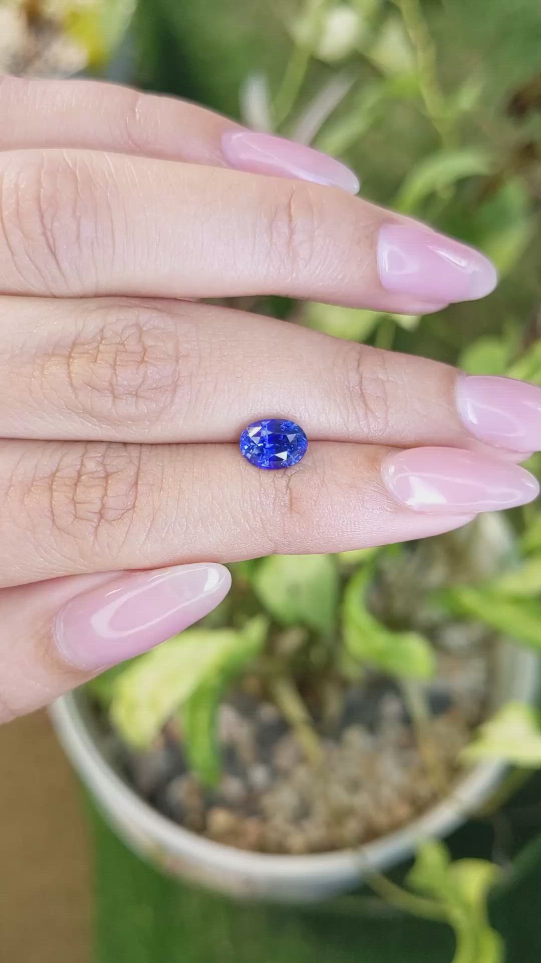 1.79 Ct. Blue Sapphire from Ceylon (Sri Lanka) Size Video