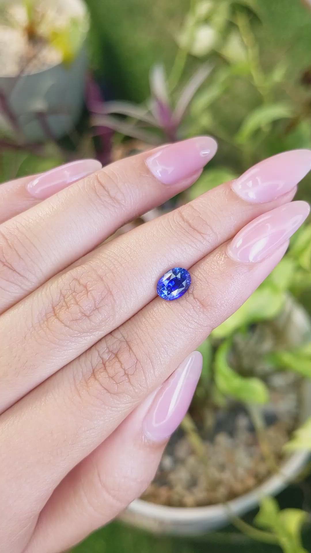 1.79 Ct. Blue Sapphire from Ceylon (Sri Lanka) Size Video