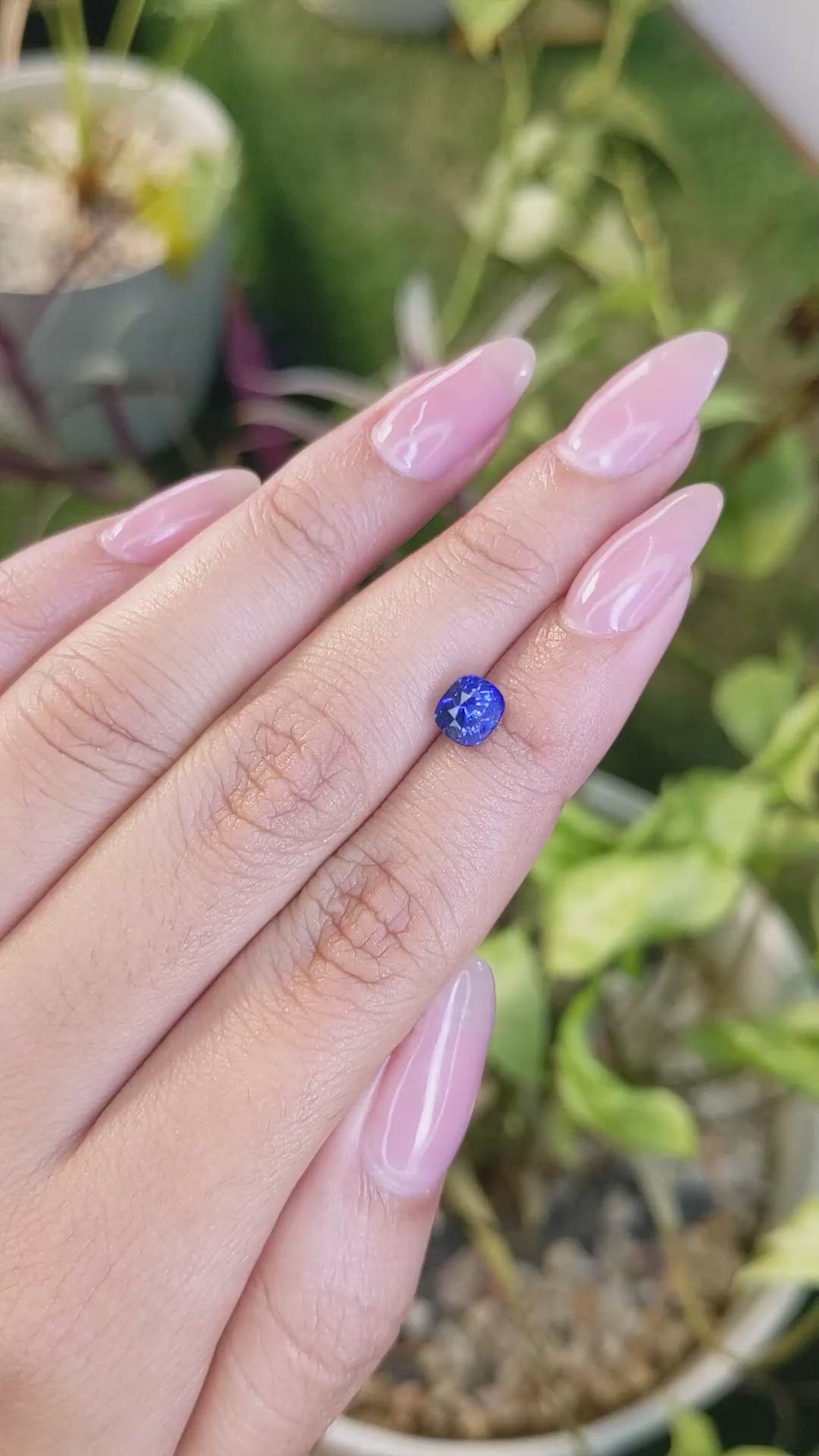 1.68 Ct. Blue Sapphire from Ceylon (Sri Lanka) Size Video