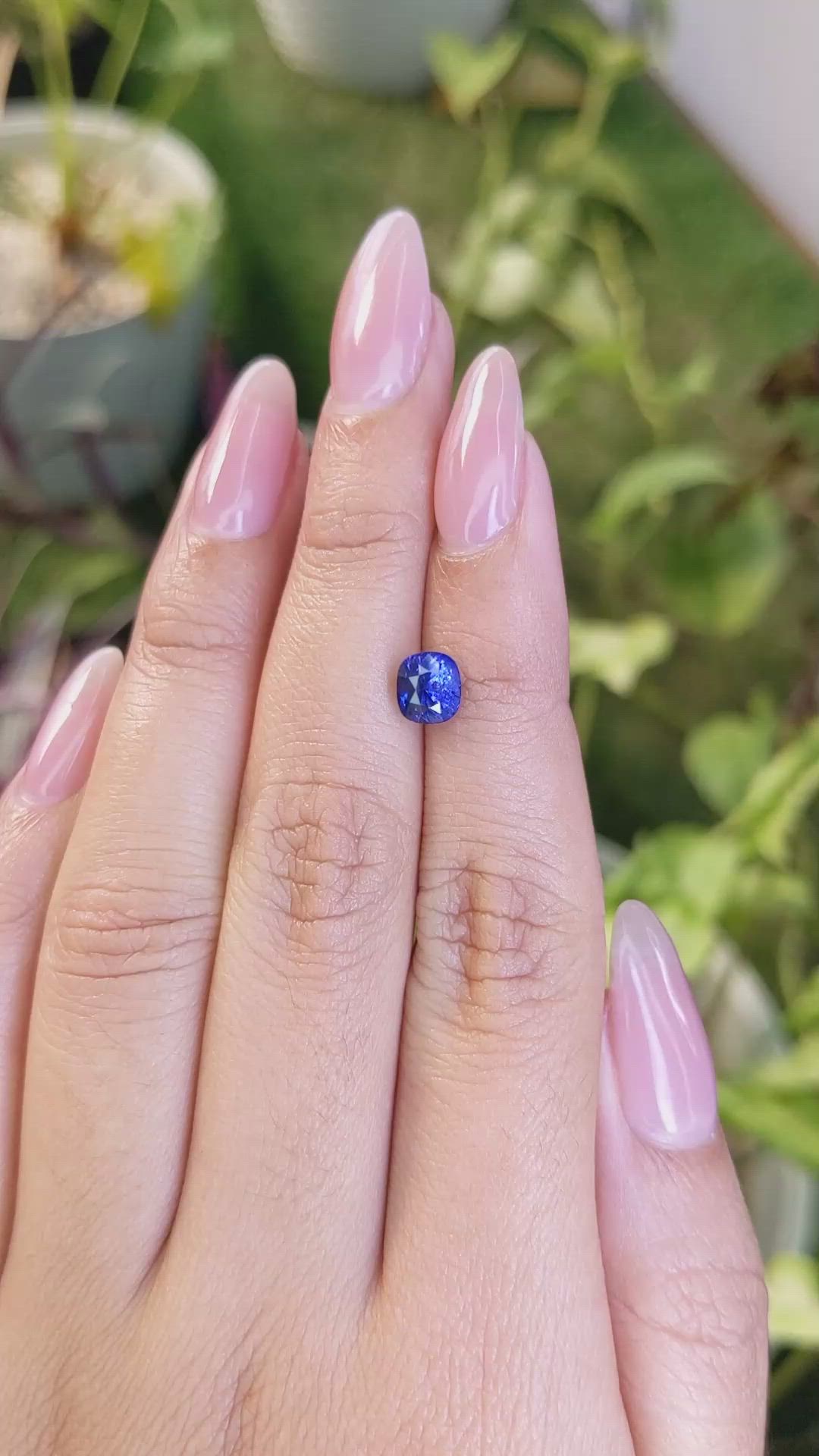 1.68 Ct. Blue Sapphire from Ceylon (Sri Lanka) Size Video