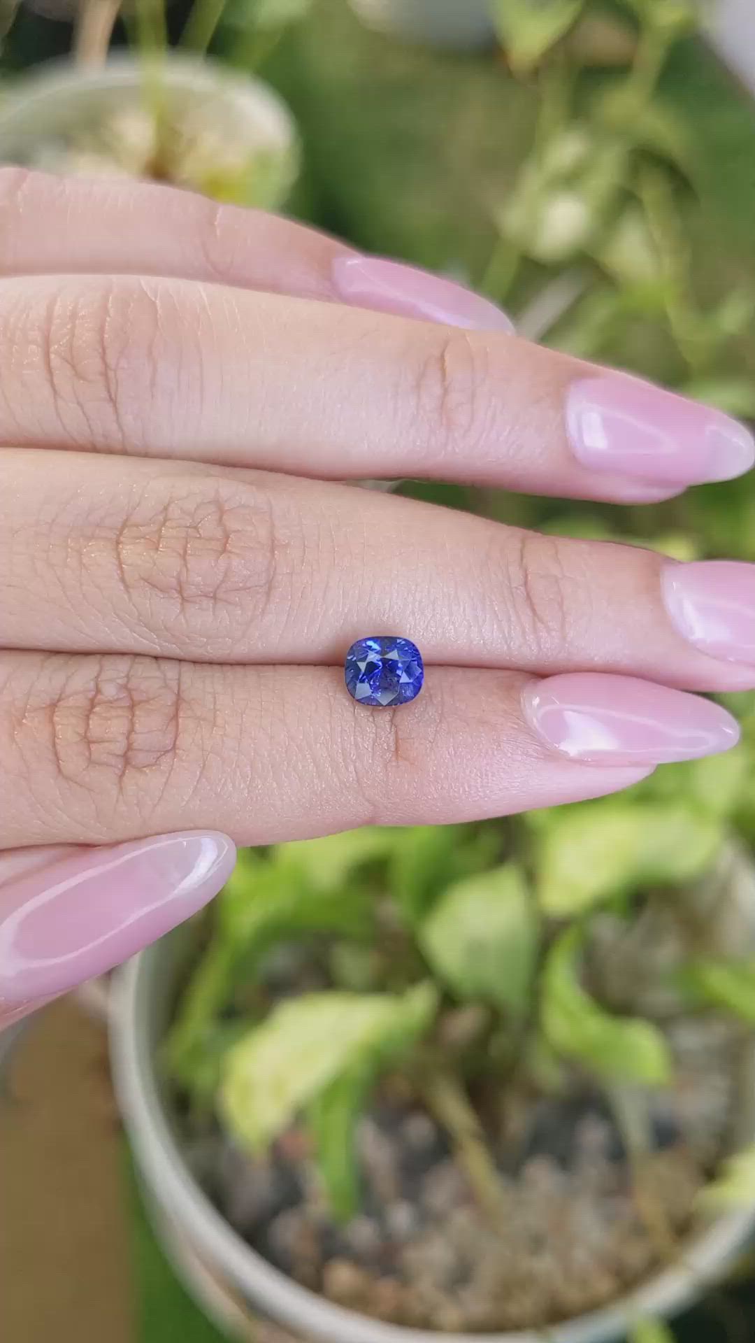 1.68 Ct. Blue Sapphire from Ceylon (Sri Lanka) Size Video