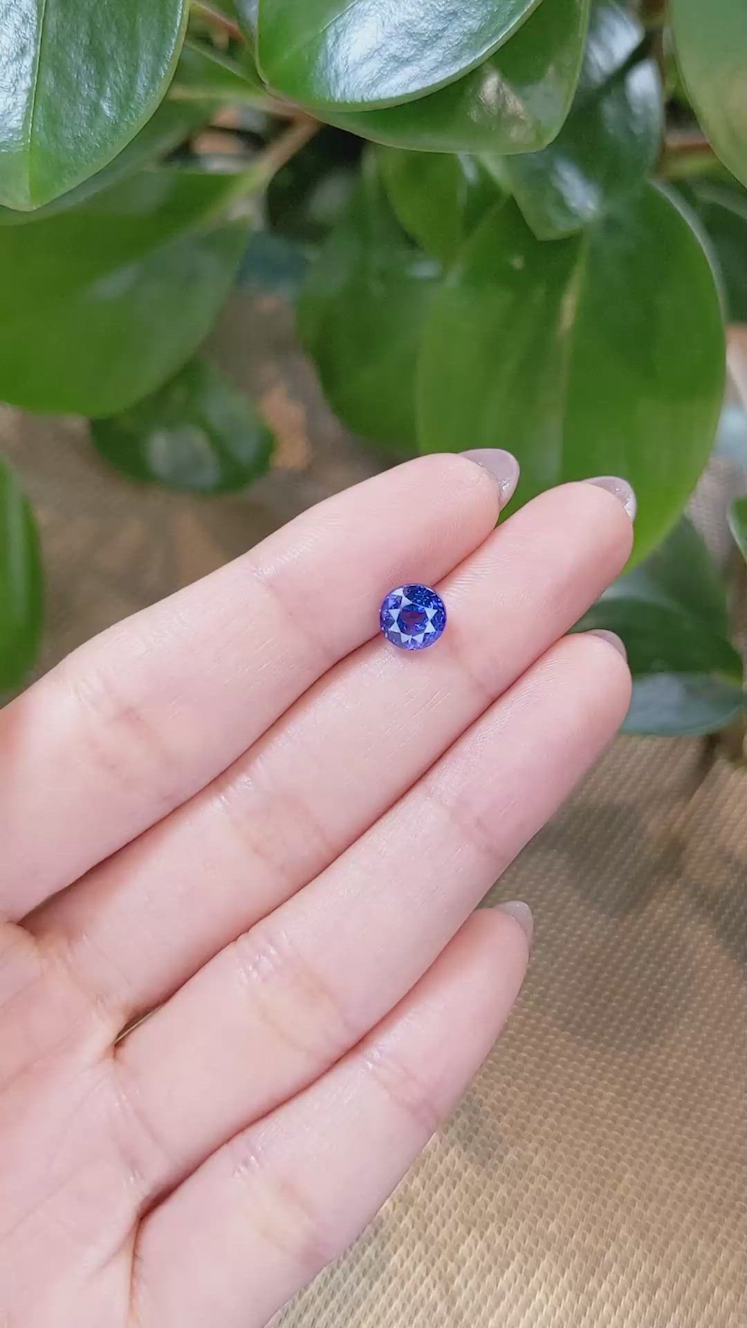 2.20 Ct. Blue Sapphire from Ceylon (Sri Lanka) Size Video