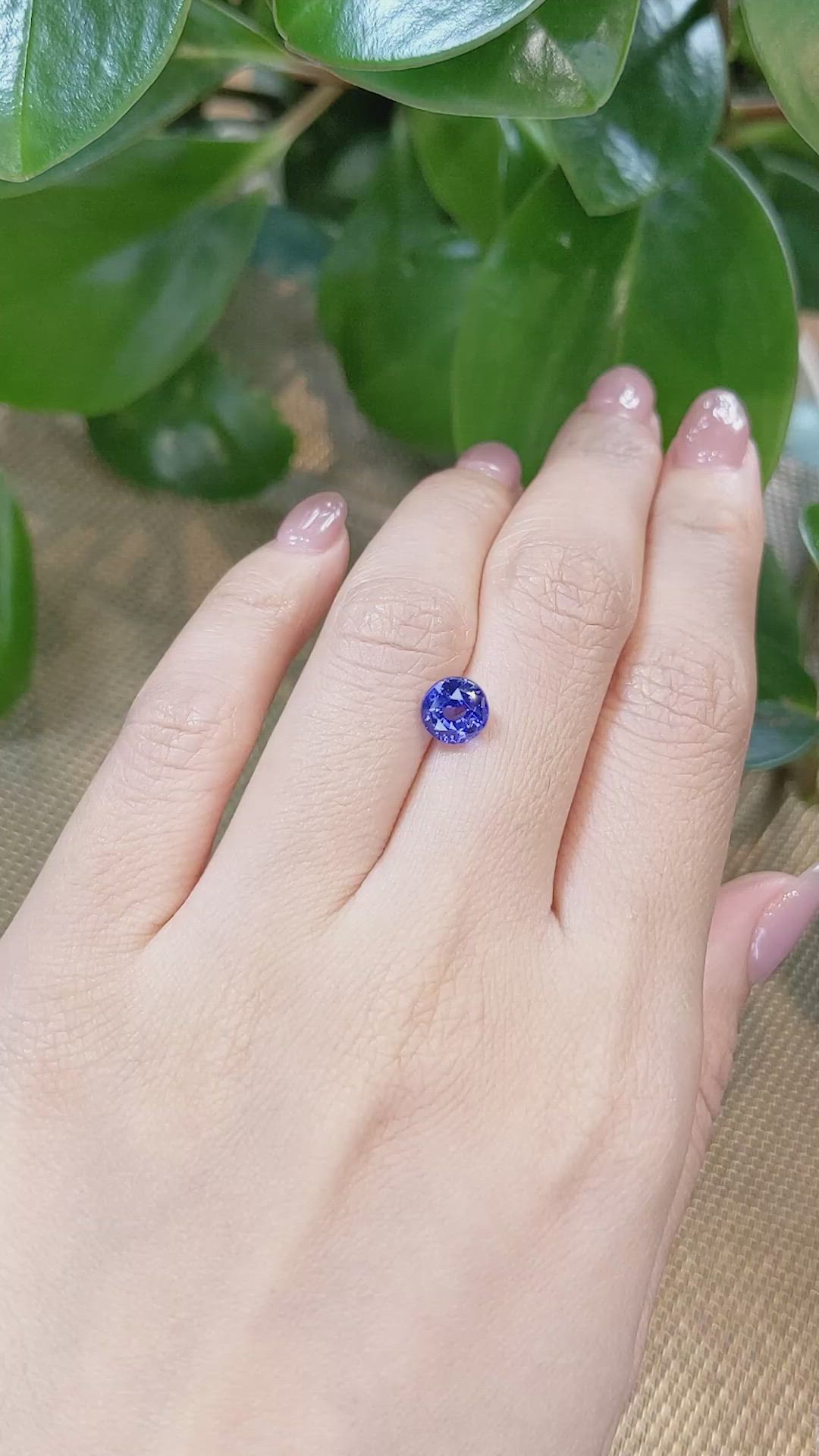 2.20 Ct. Blue Sapphire from Ceylon (Sri Lanka) Size Video